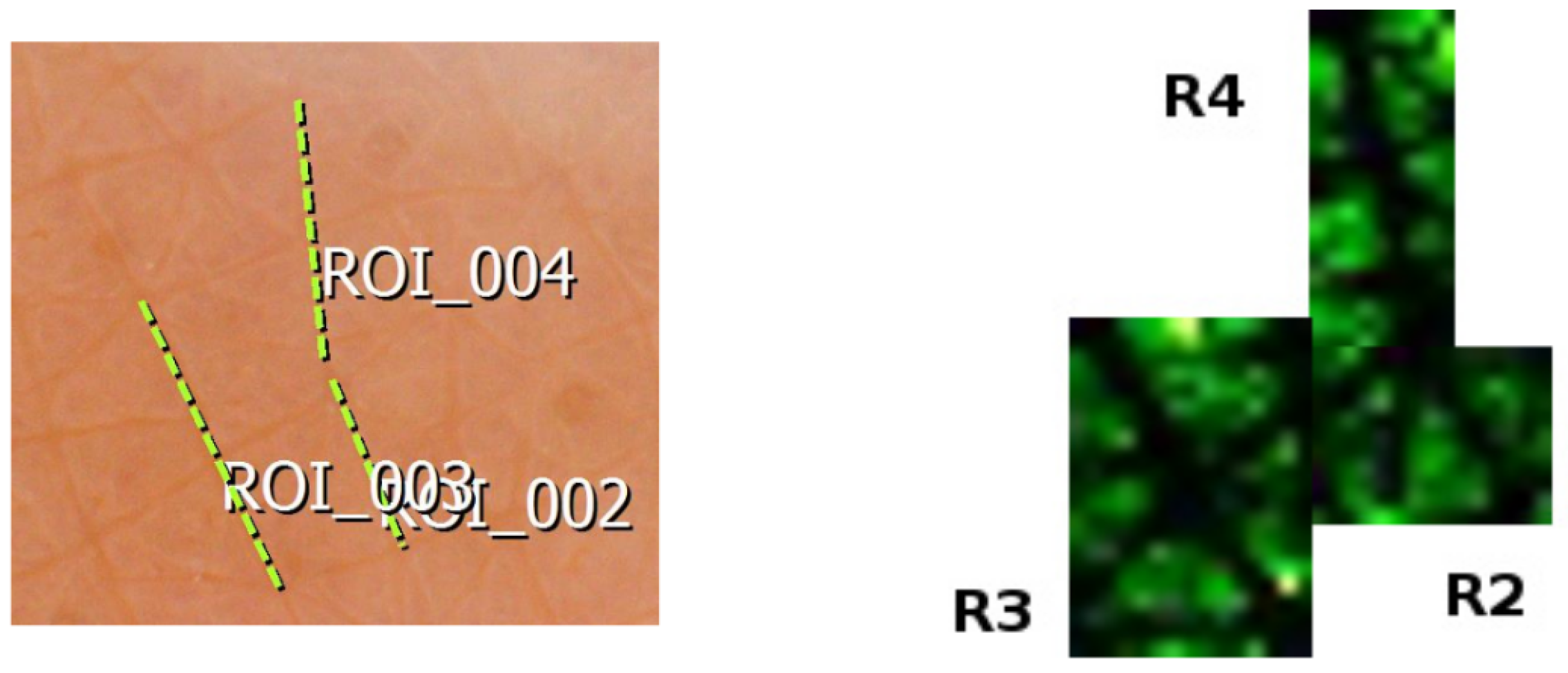 Applsci 10 00256 g007 Applsci 10 00256 g007