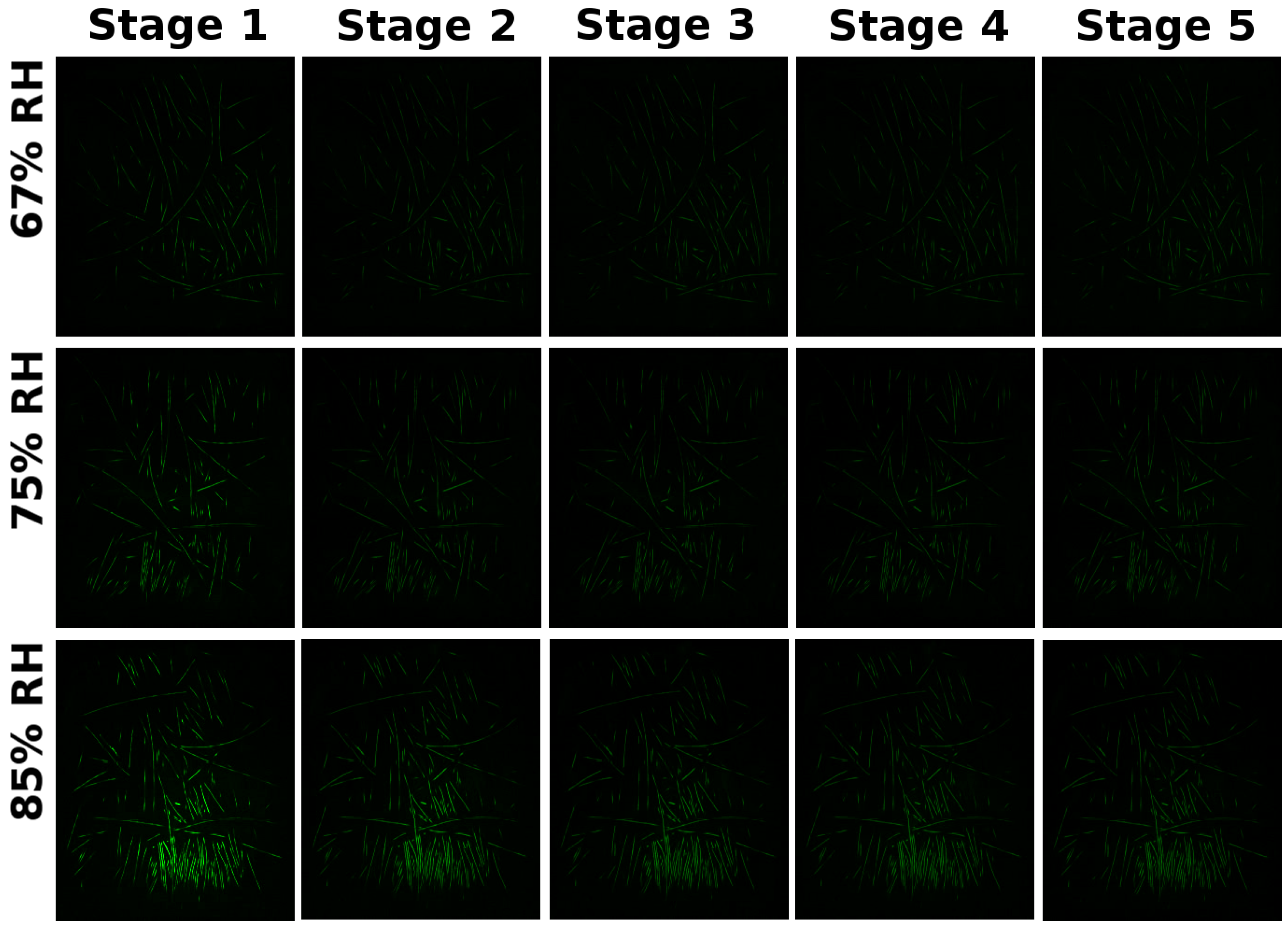 Applsci 10 00256 g008 Applsci 10 00256 g008