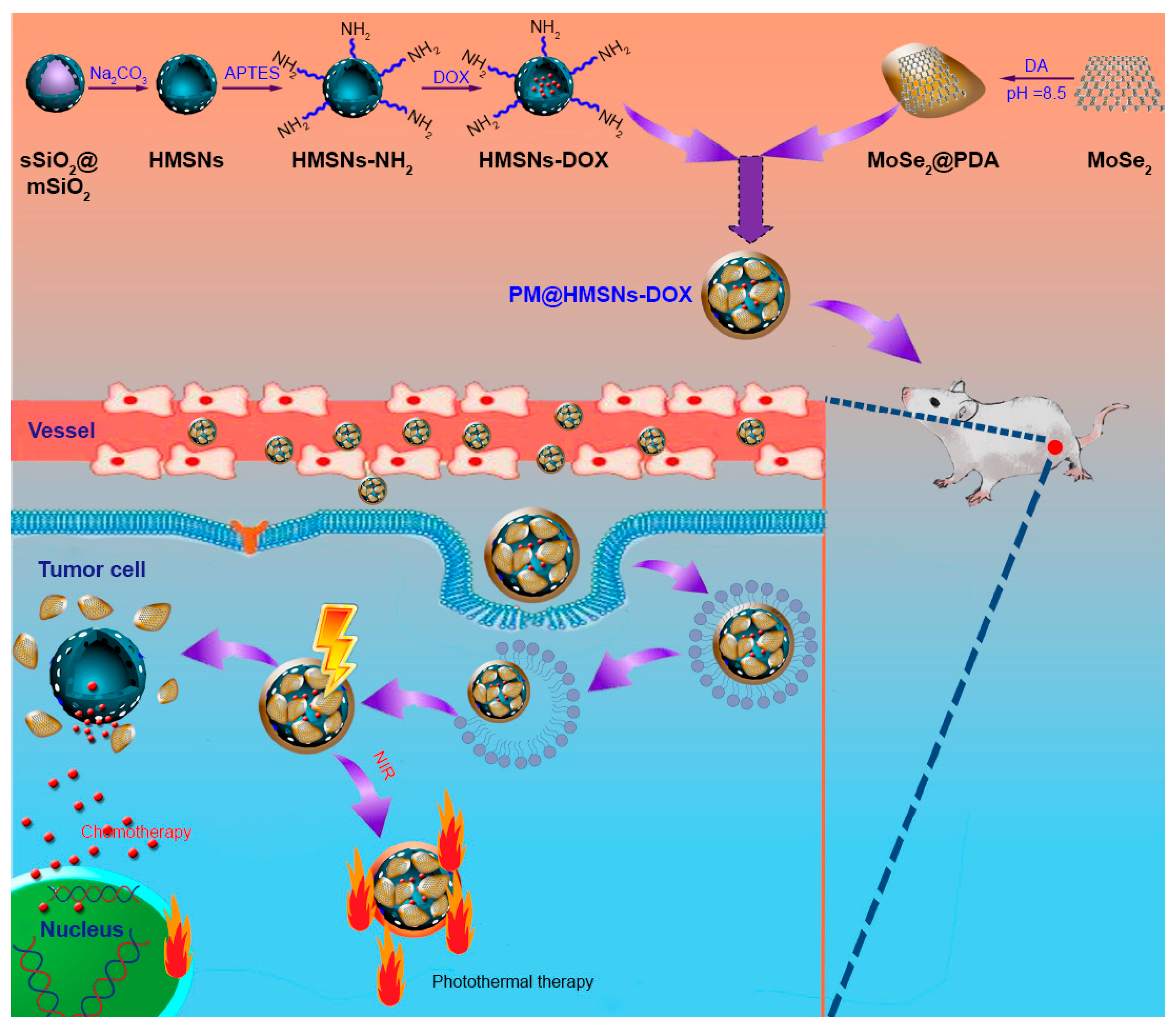 Applsci 10 00289 g006