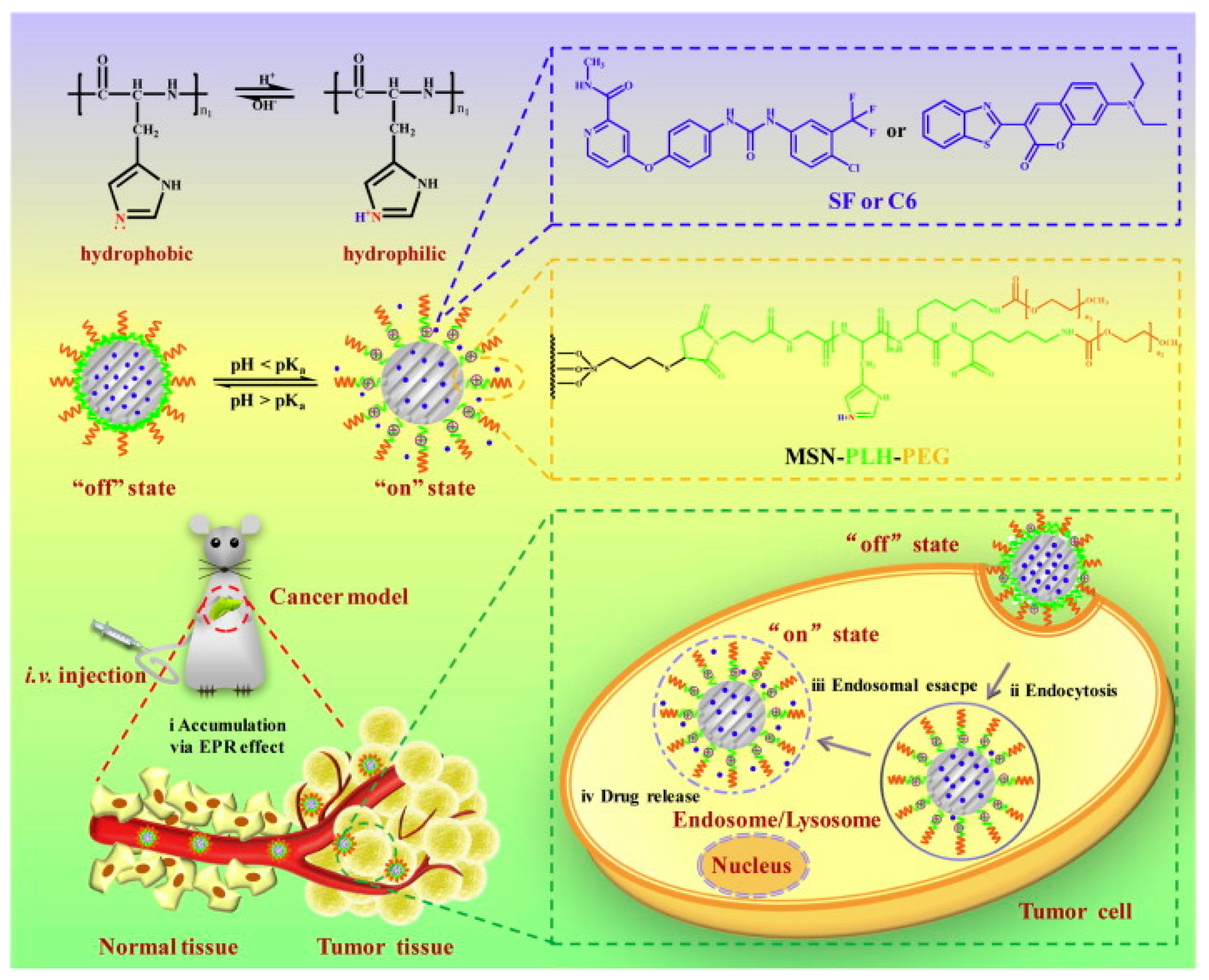 Applsci 10 00289 g007