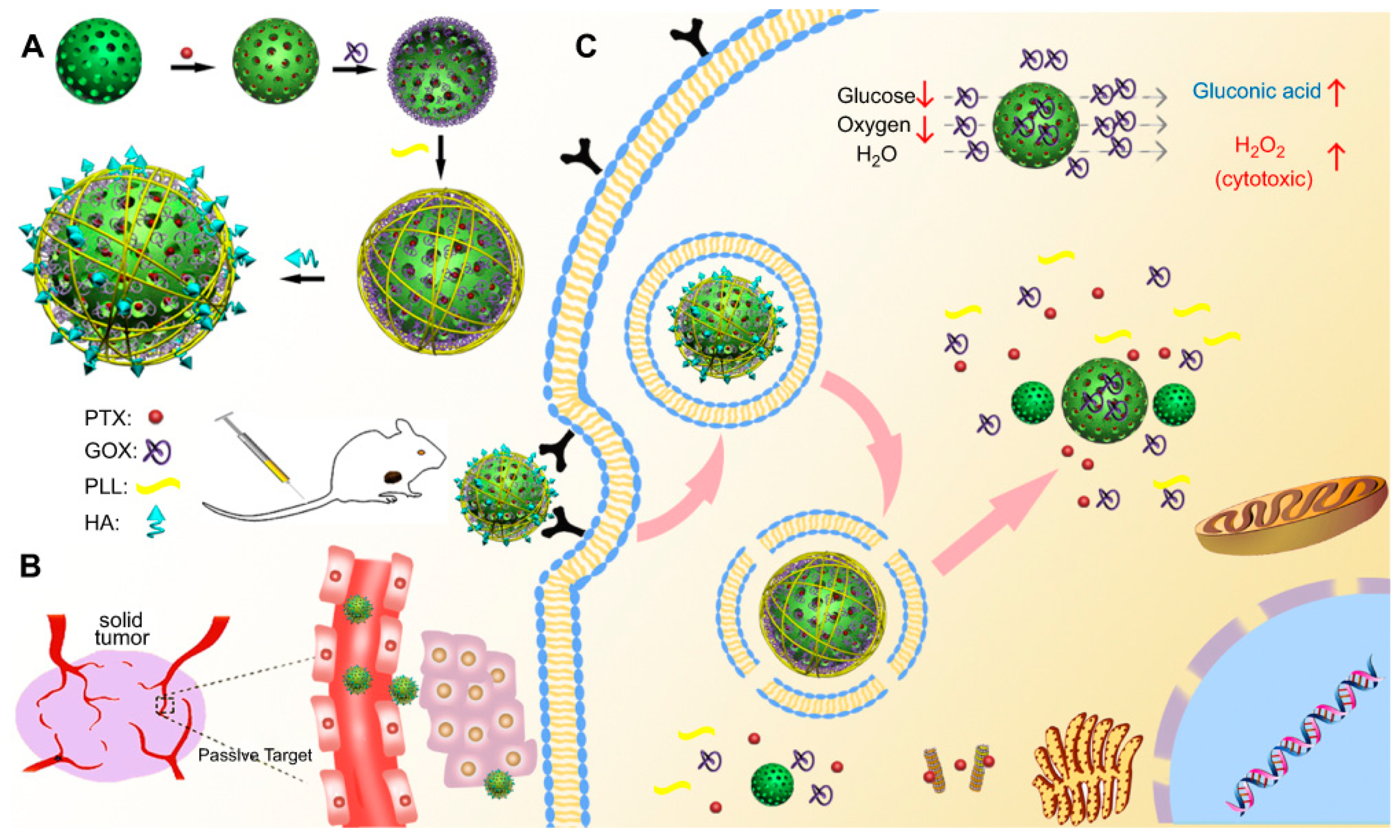 Applsci 10 00289 g009