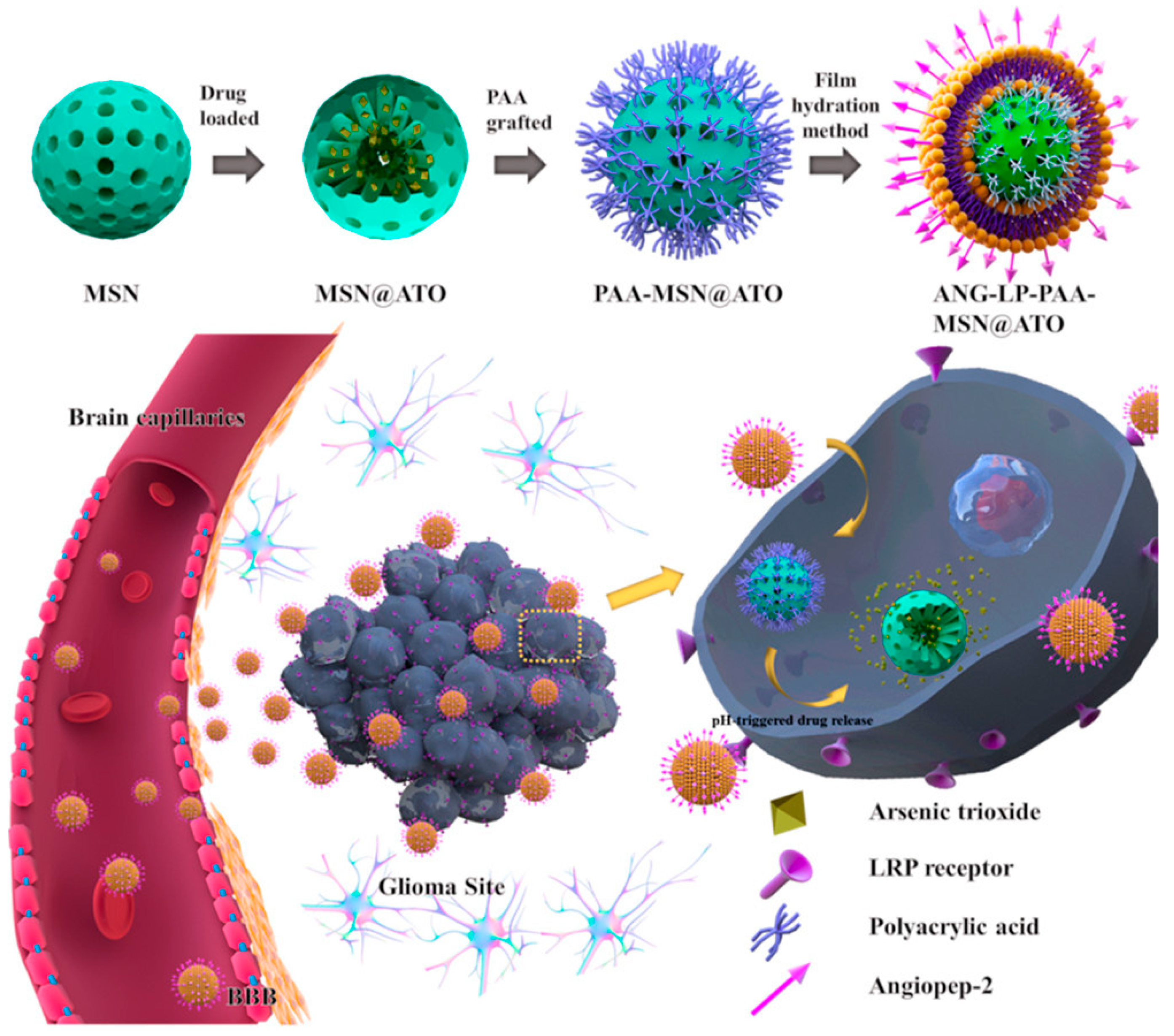 Applsci 10 00289 g010