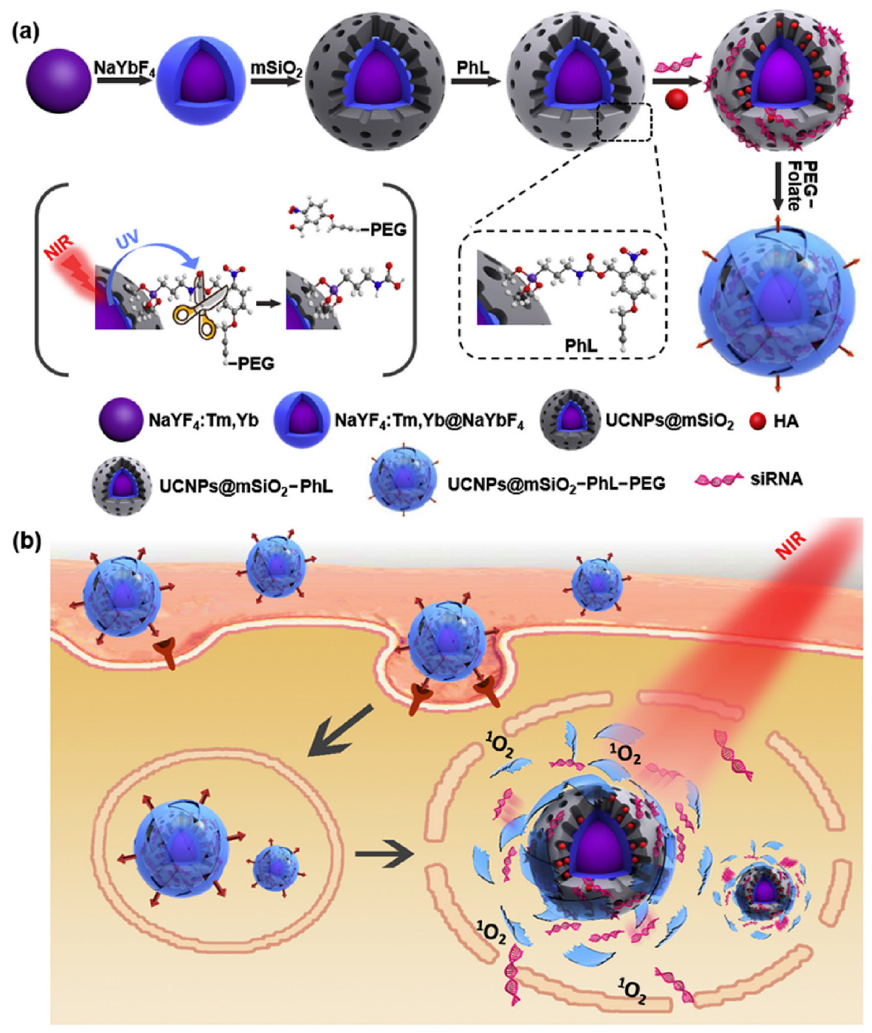 Applsci 10 00289 g013
