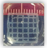 Applsci 10 00292 i001