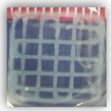 Applsci 10 00292 i004