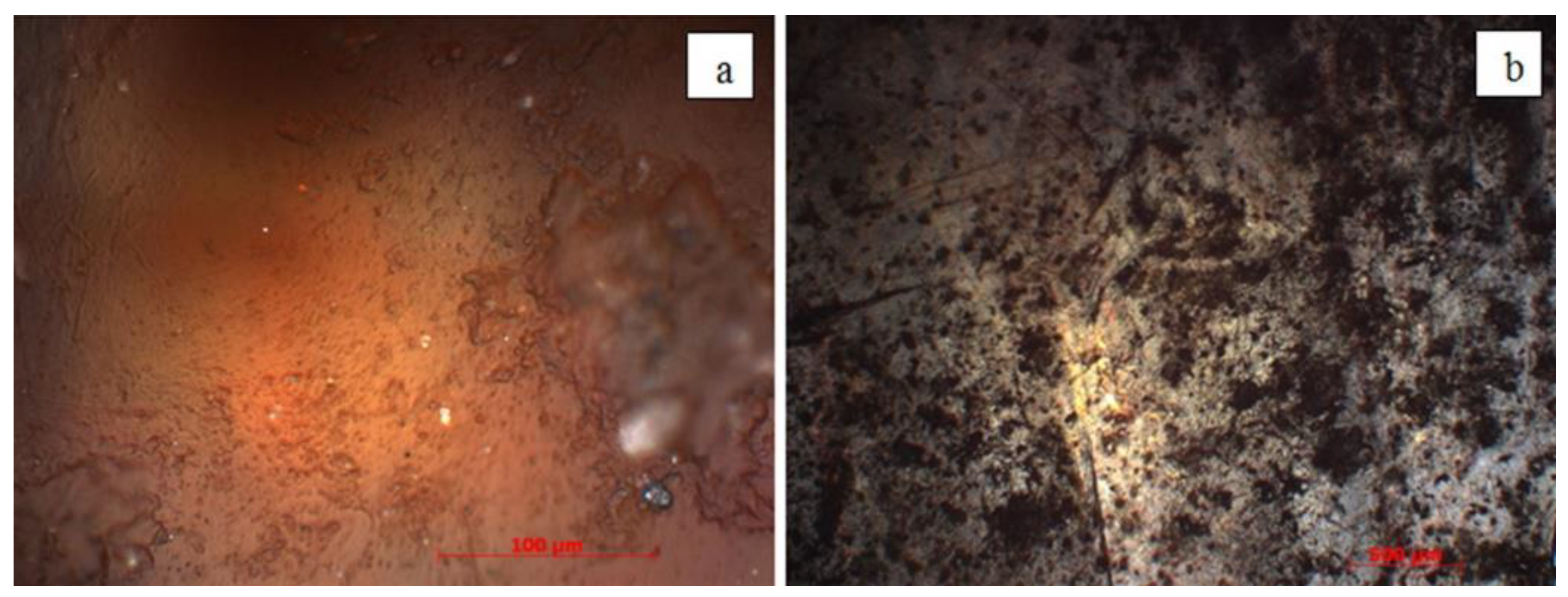 Applsci 10 00306 g007