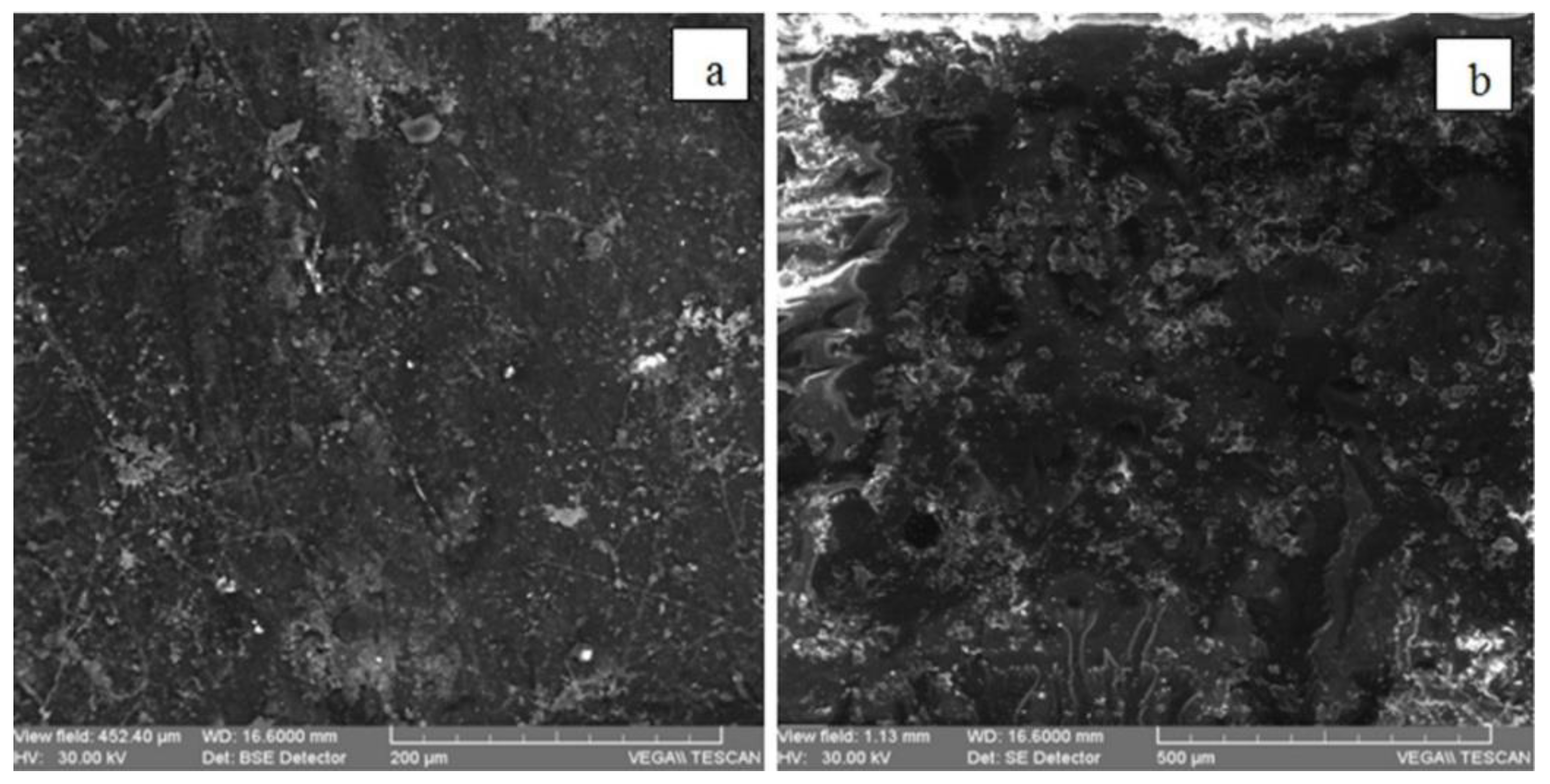 Applsci 10 00306 g008