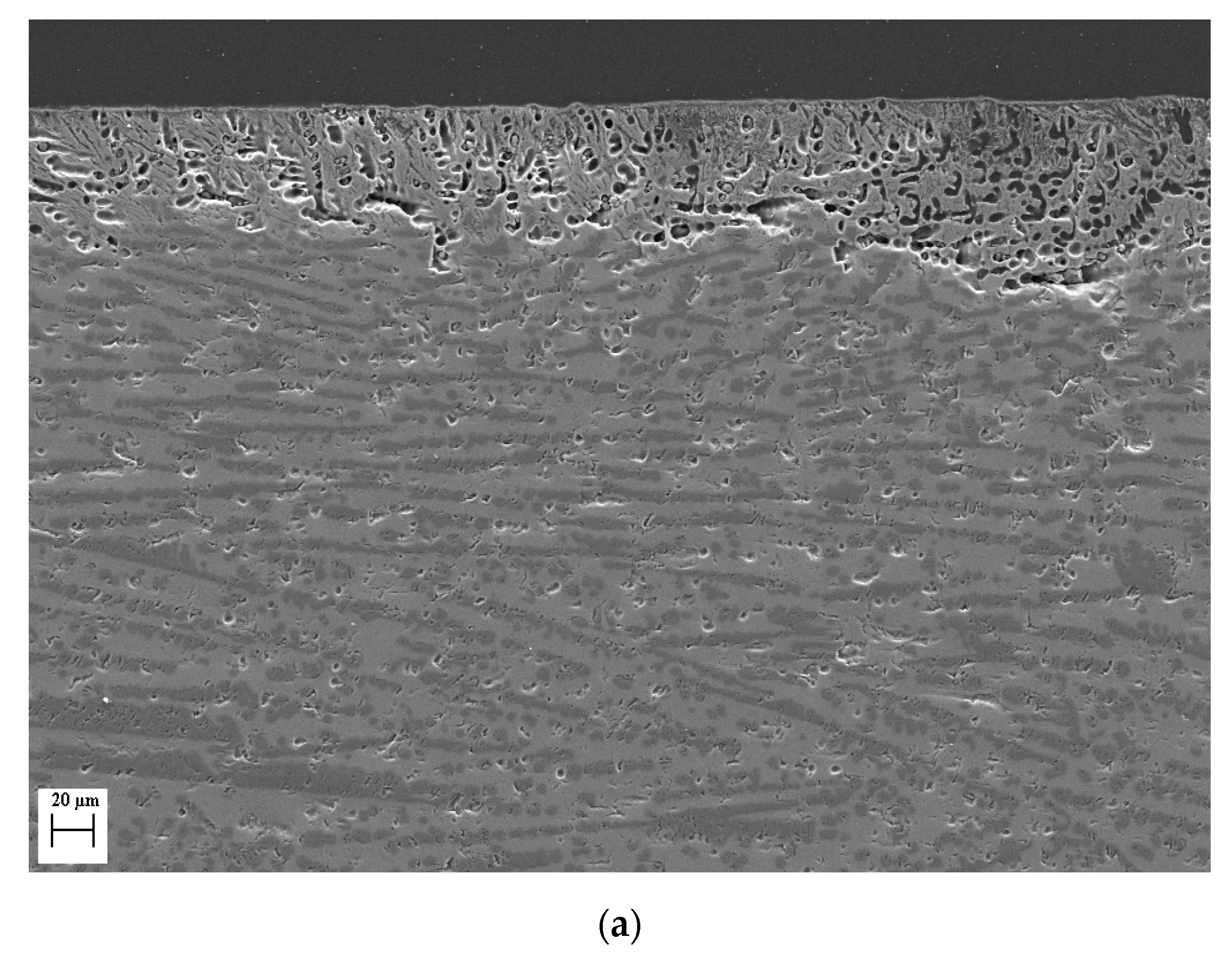 Applsci 10 00312 g008a