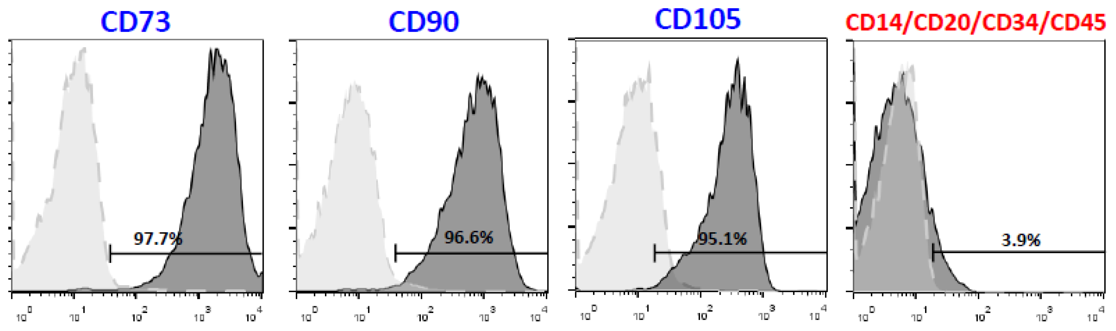 Applsci 10 00325 g001