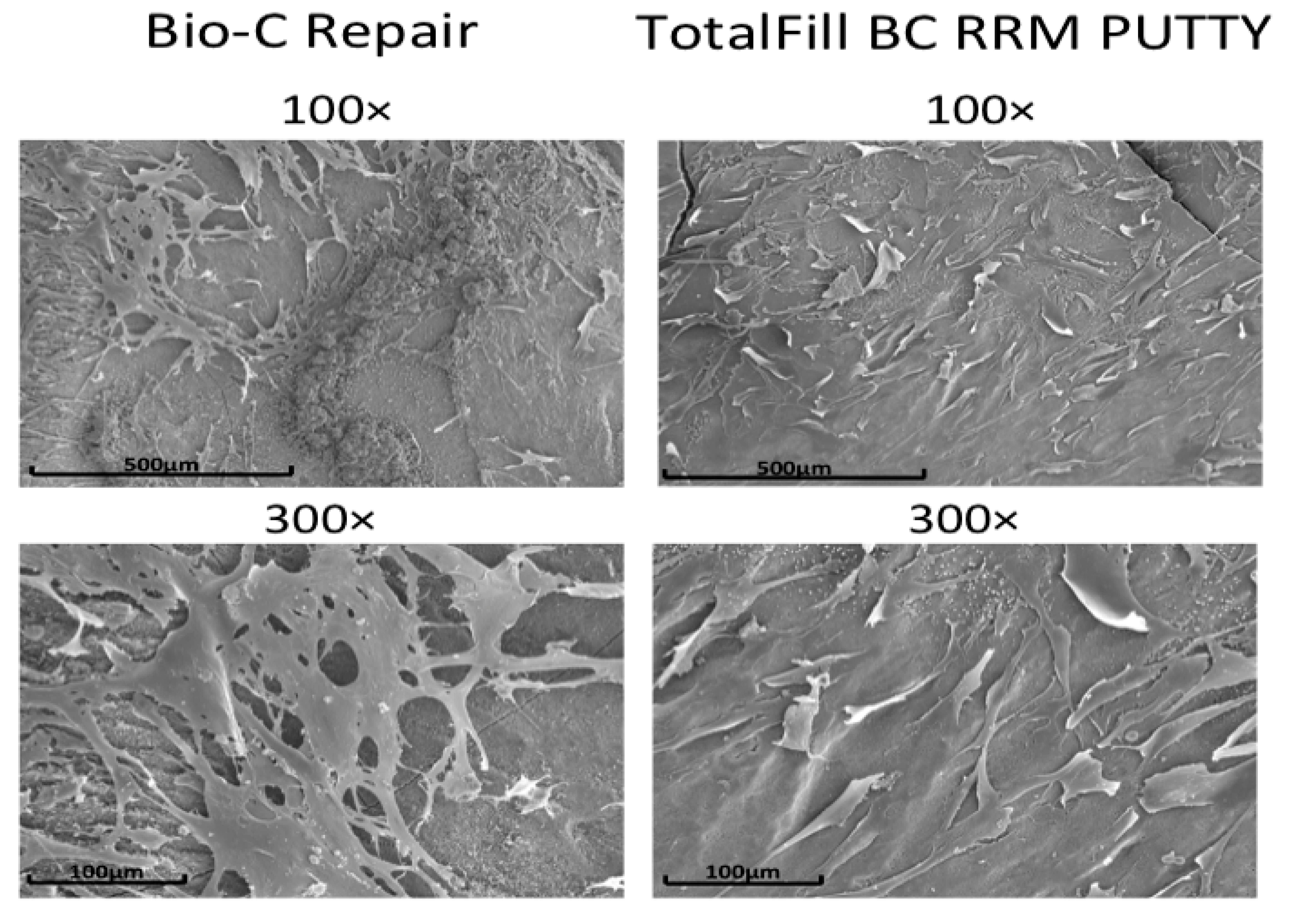 Applsci 10 00325 g004