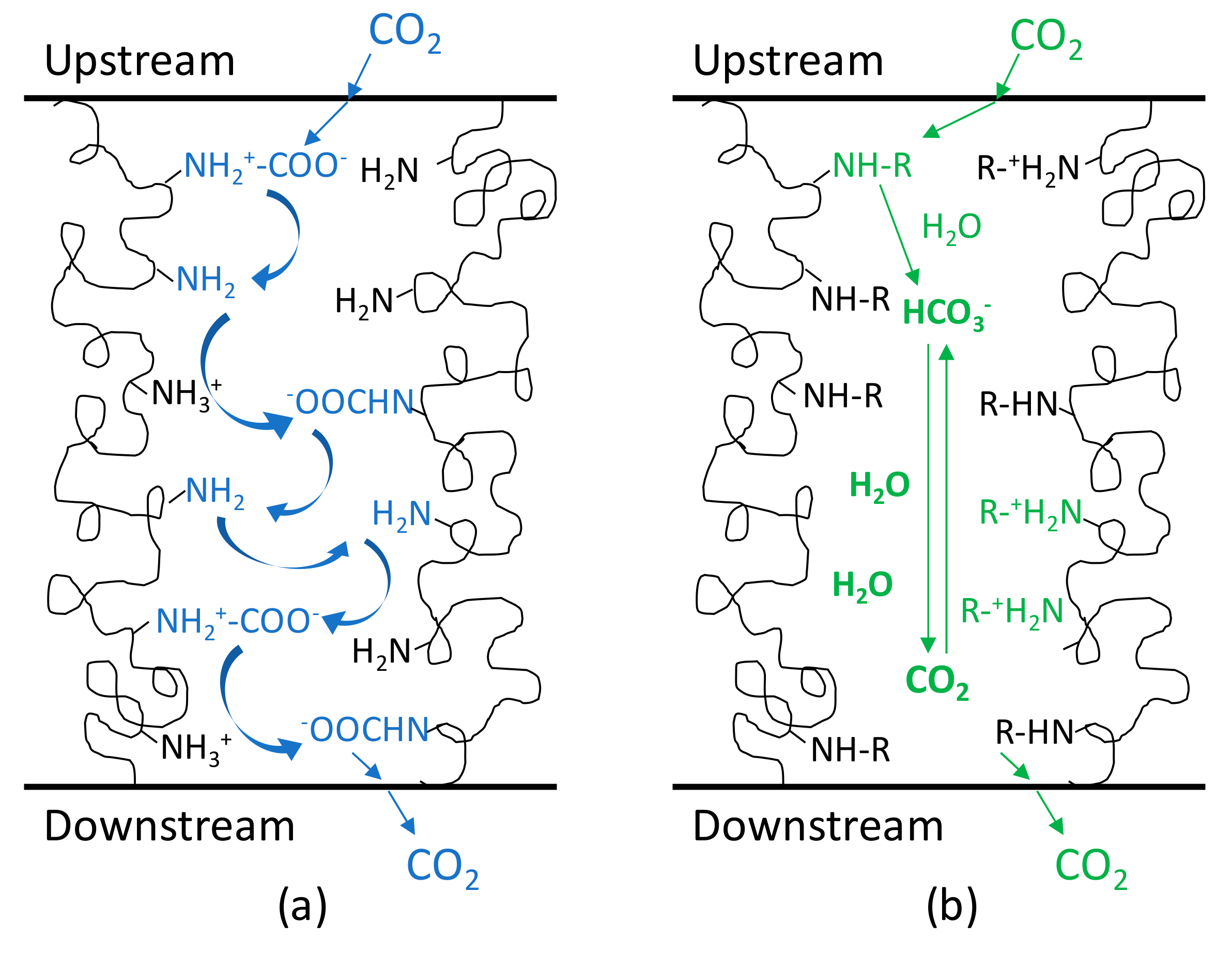 Applsci 10 00414 g001