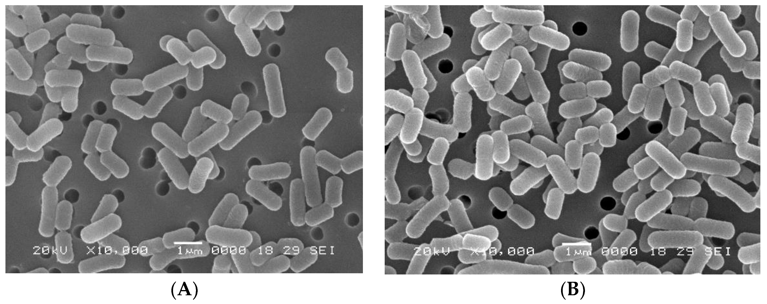 Applsci 10 00417 g001