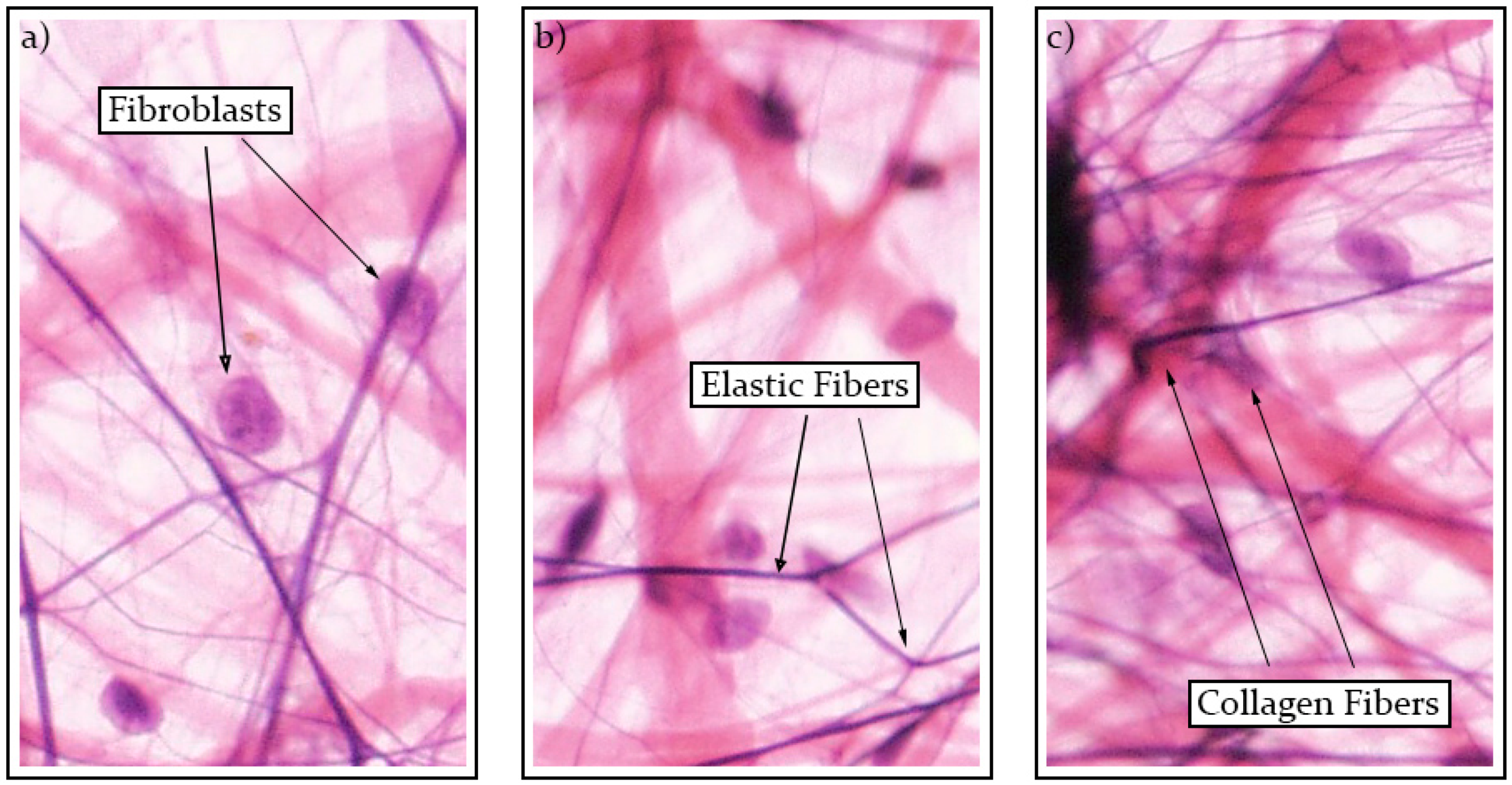 Applsci 10 00447 g001 Applsci 10 00447 g001