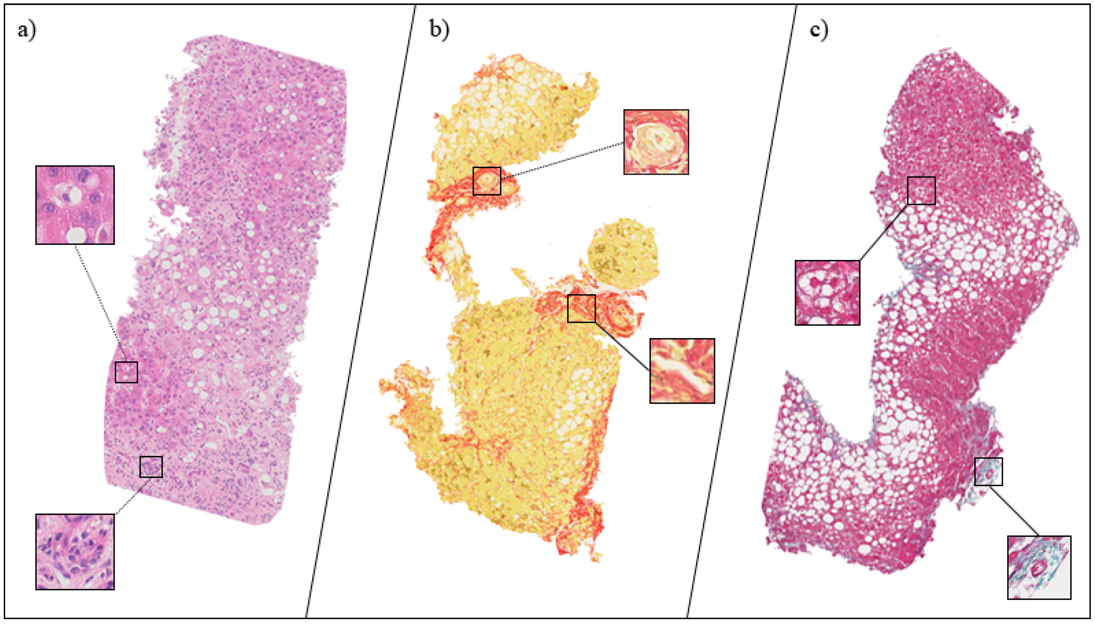 Applsci 10 00447 g003 Applsci 10 00447 g003