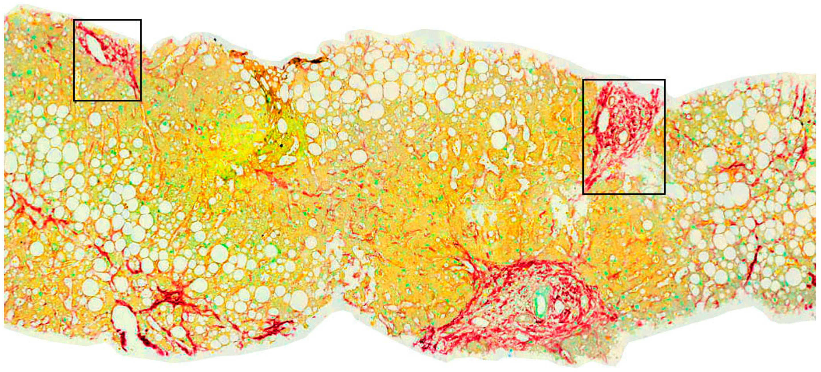 Applsci 10 00447 g005 Applsci 10 00447 g005