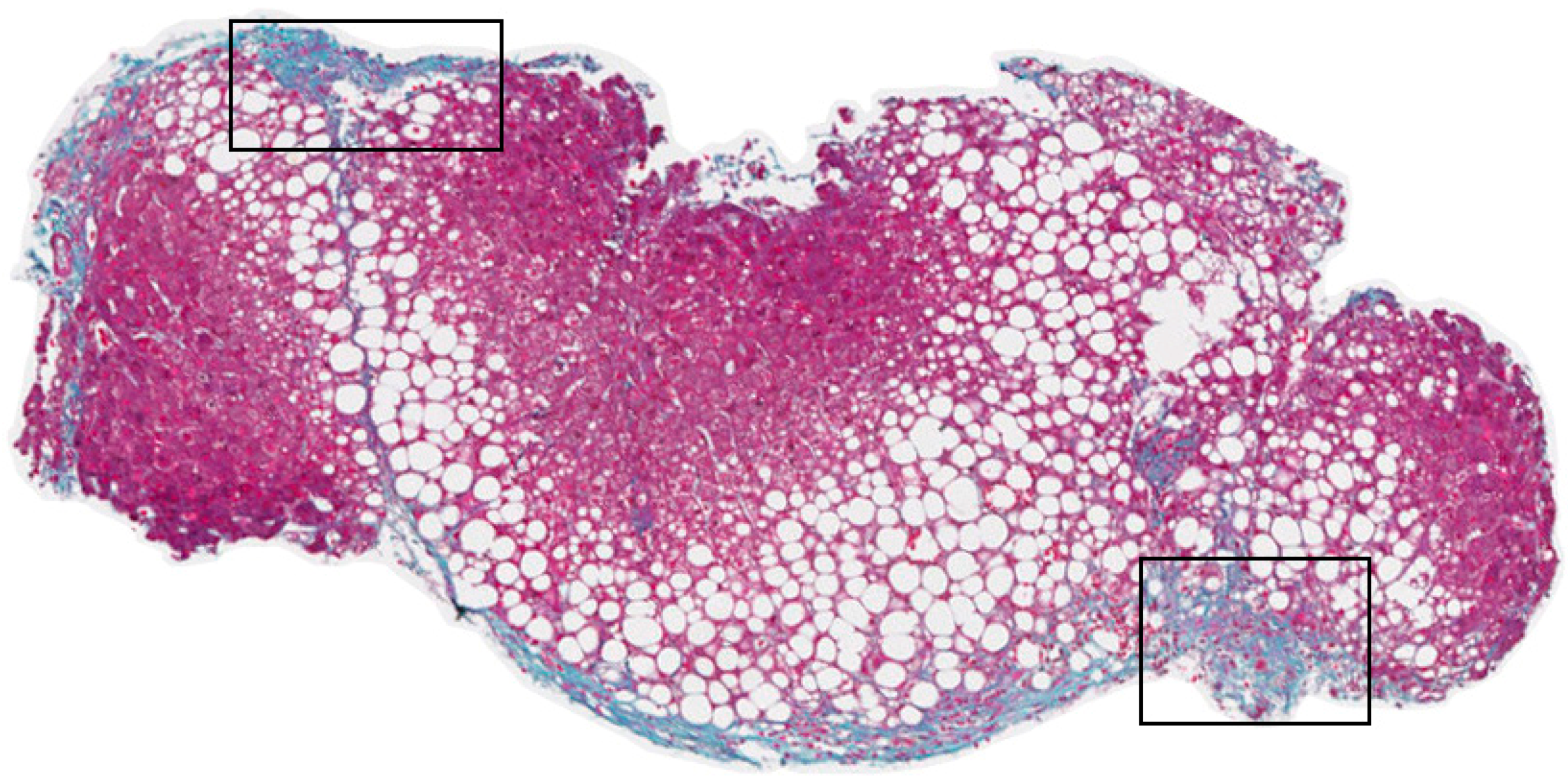 Applsci 10 00447 g006 Applsci 10 00447 g006