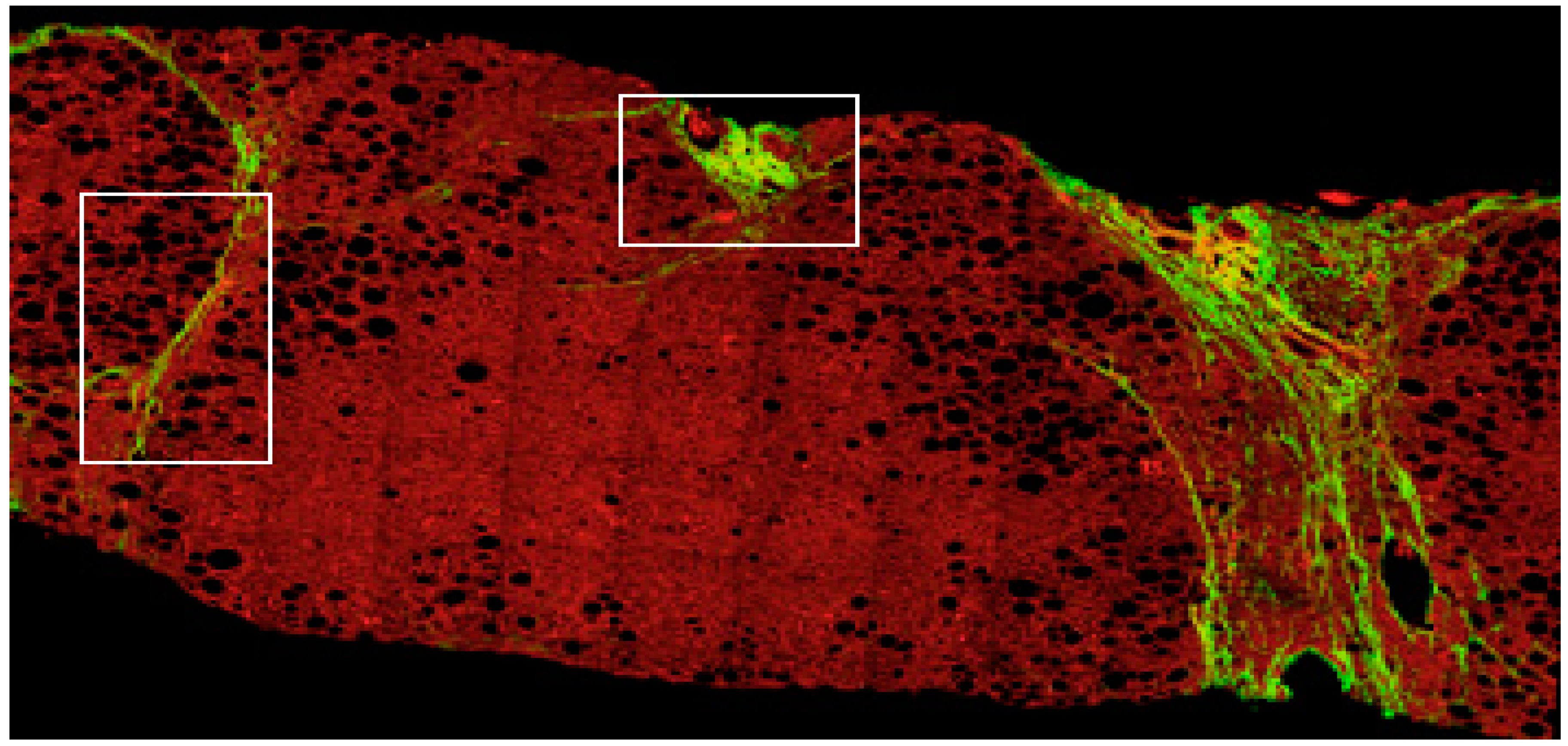 Applsci 10 00447 g007 Applsci 10 00447 g007