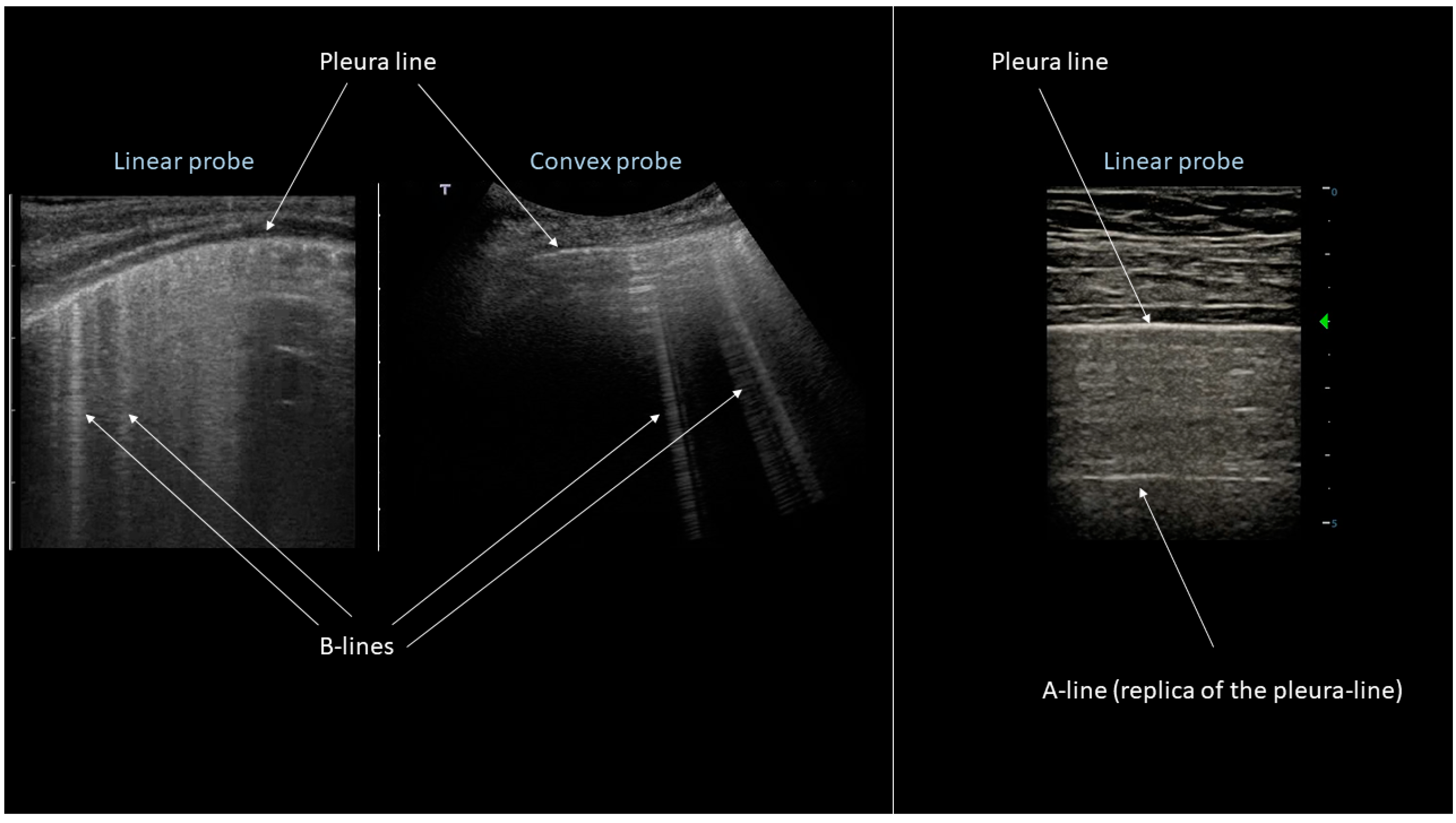 Applsci 10 00462 g001