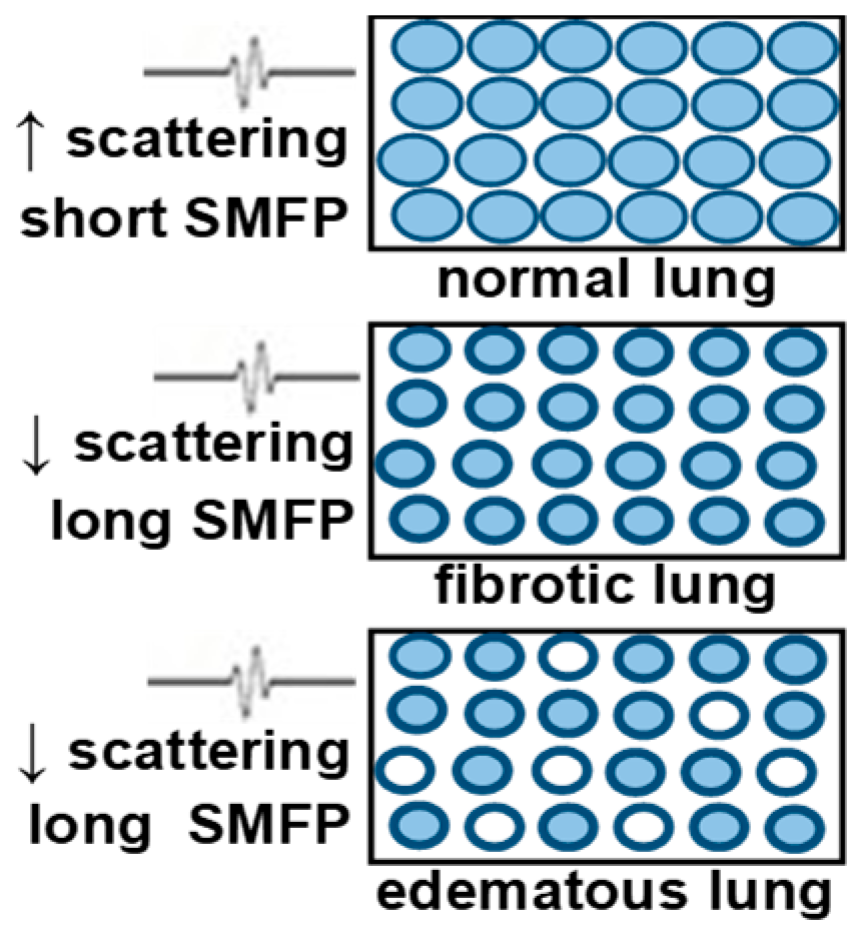 Applsci 10 00462 g005