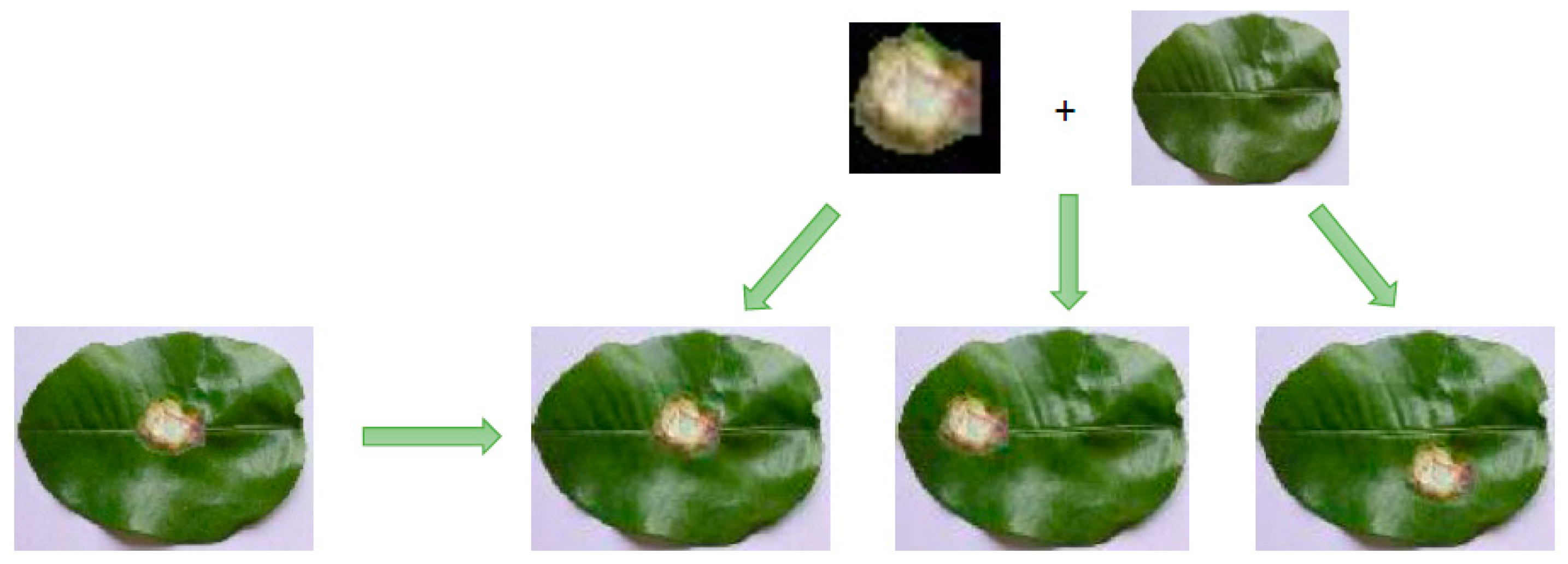 Applsci 10 00466 g006