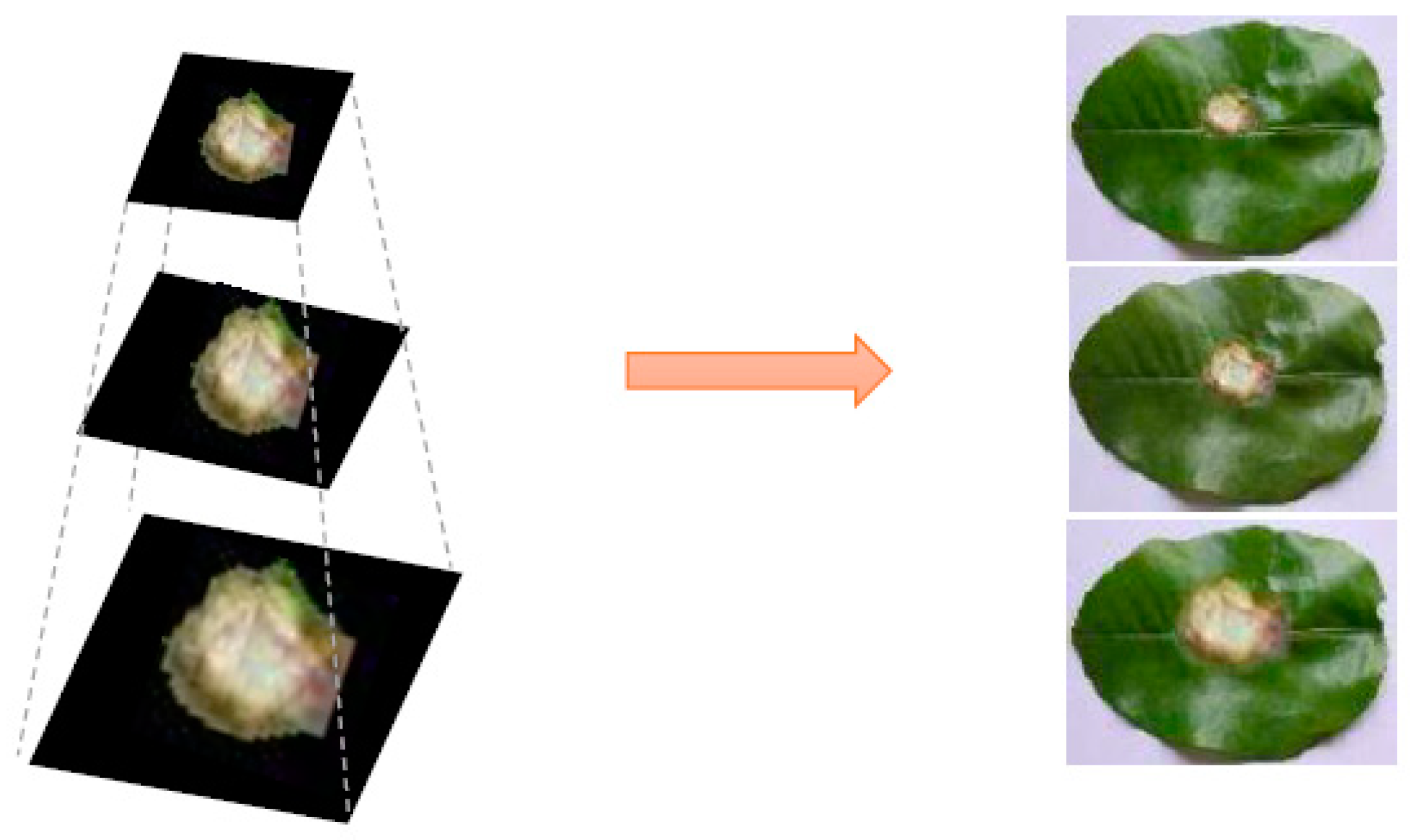 Applsci 10 00466 g007