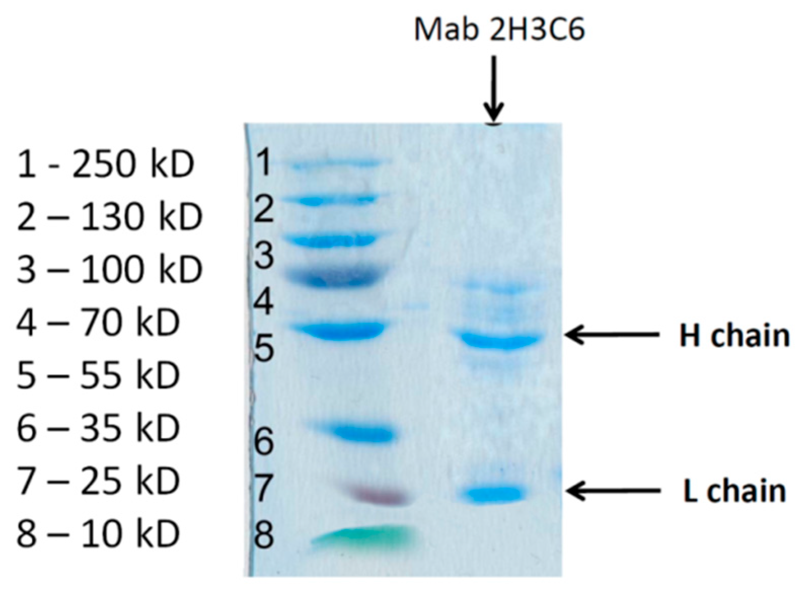 Applsci 10 00475 g005