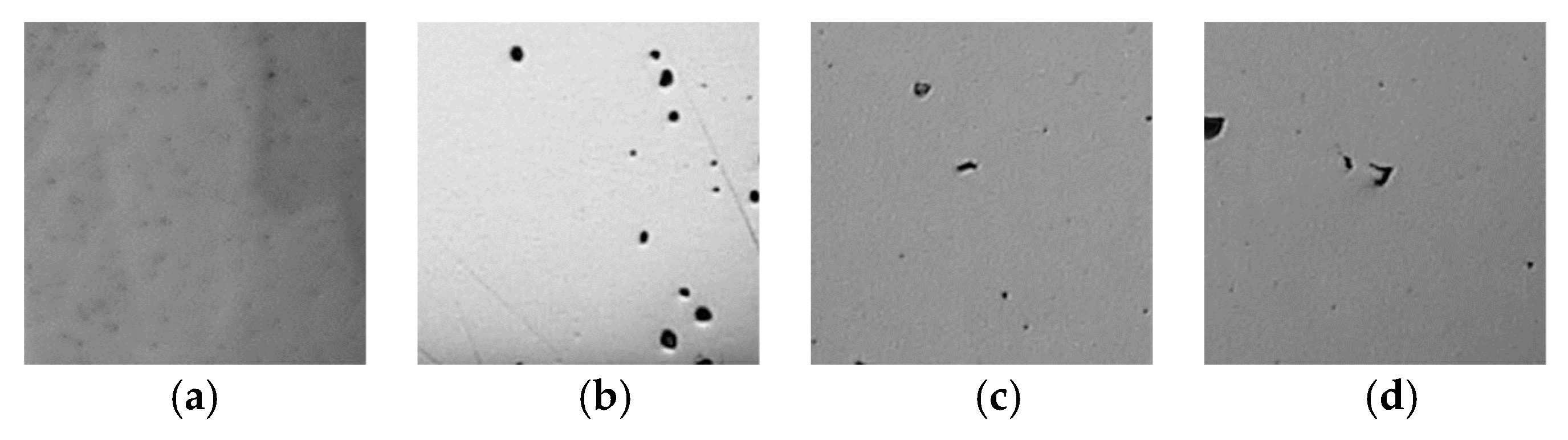 Applsci 10 00545 g009