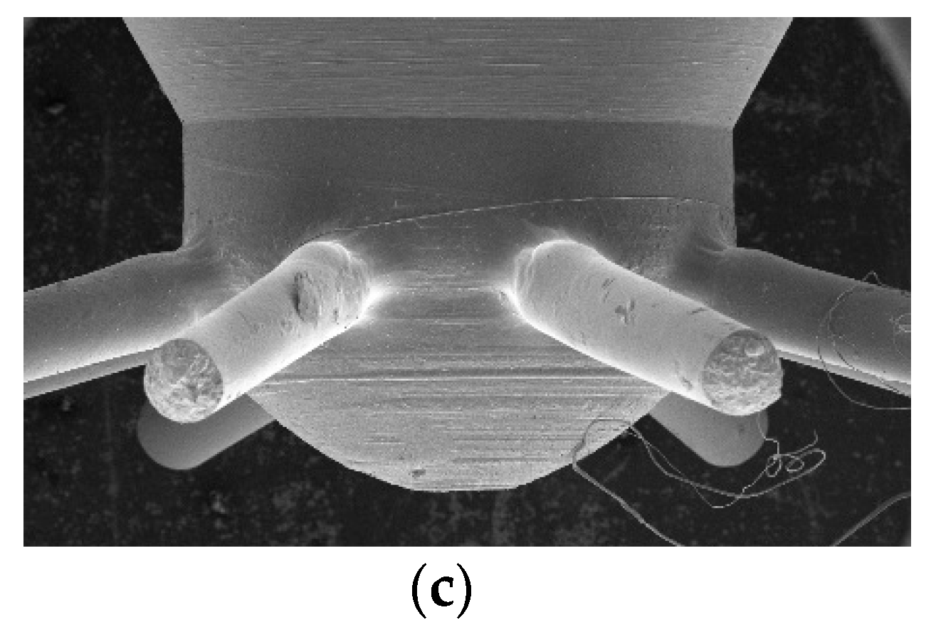 Applsci 10 00549 g001b