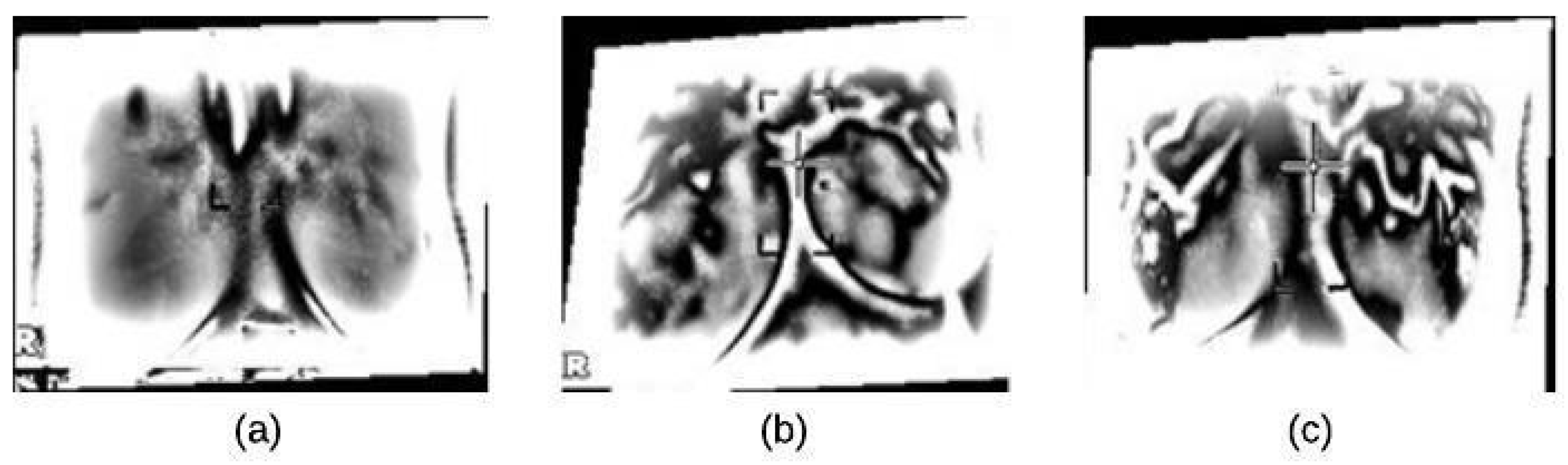 Applsci 10 00551 g006