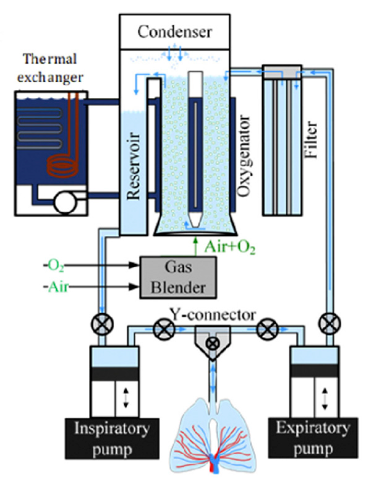 Applsci 10 00574 g001