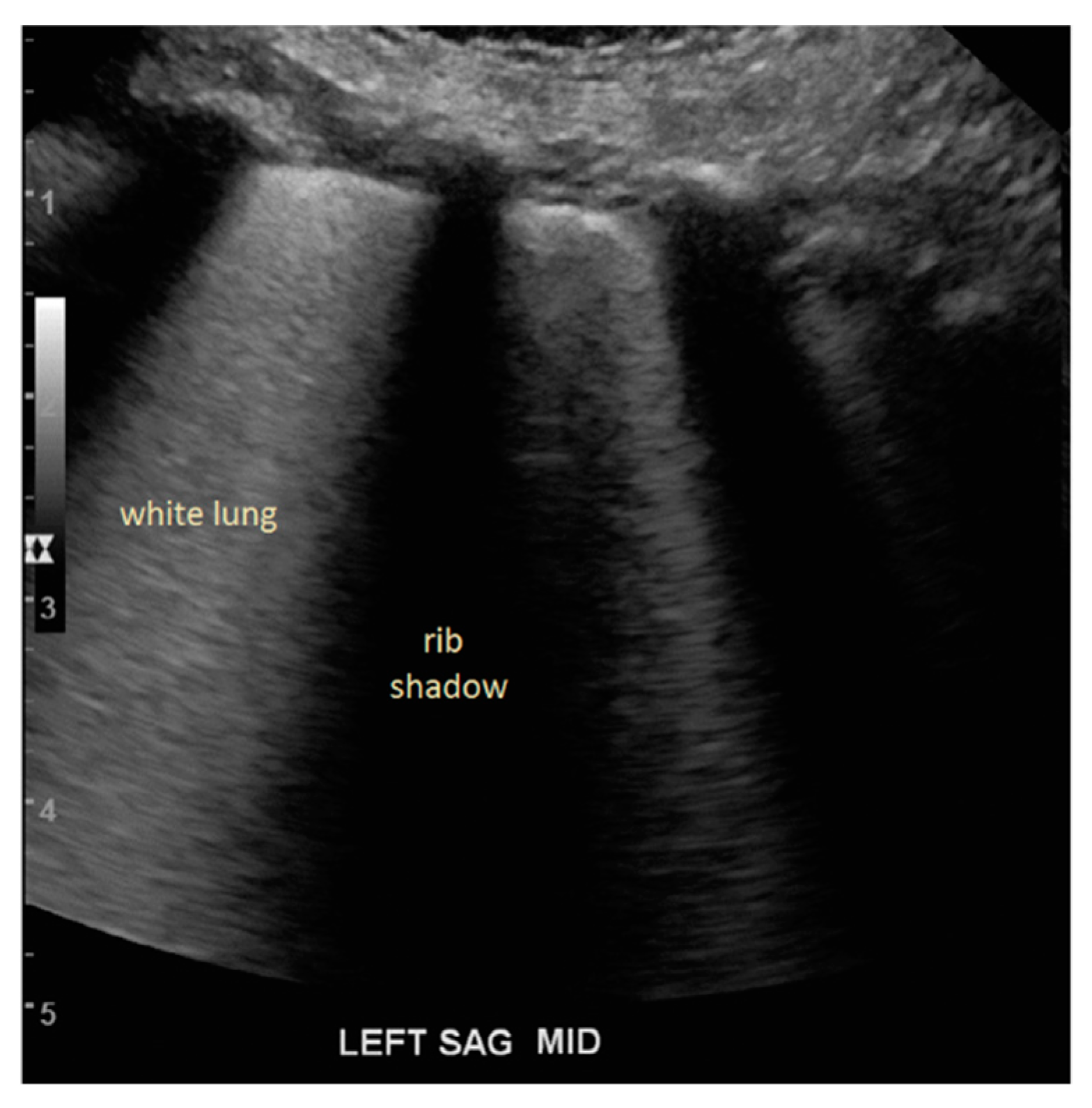 Applsci 10 00574 g002