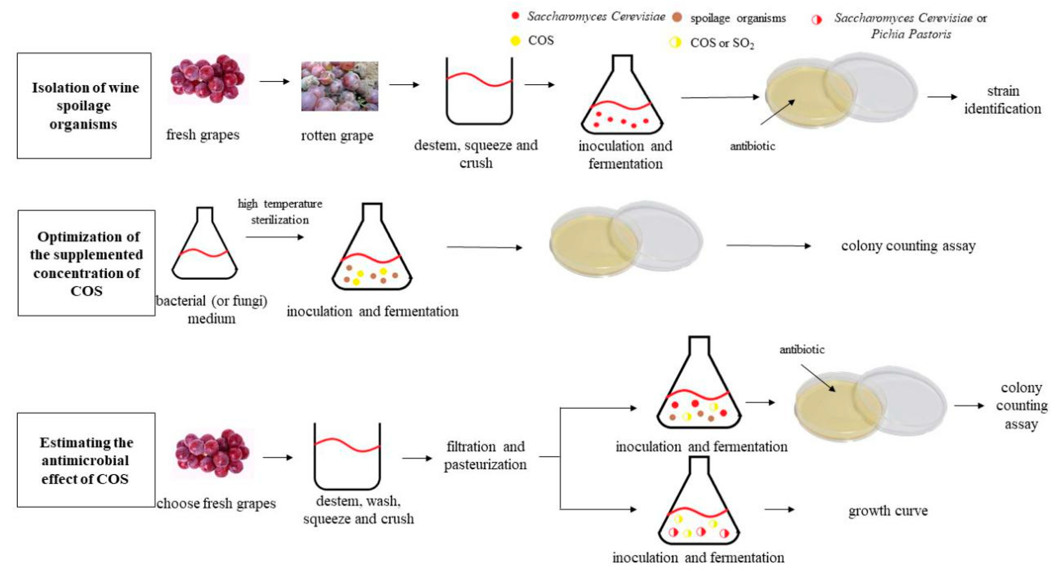 Applsci 10 00578 g001