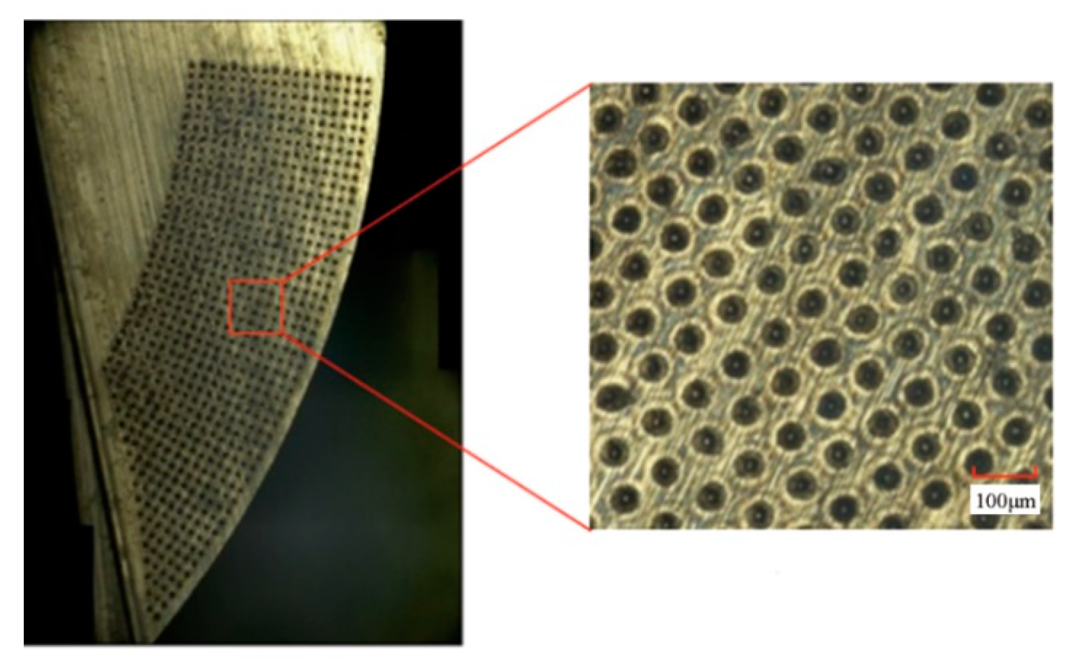 Applsci 10 00587 g008