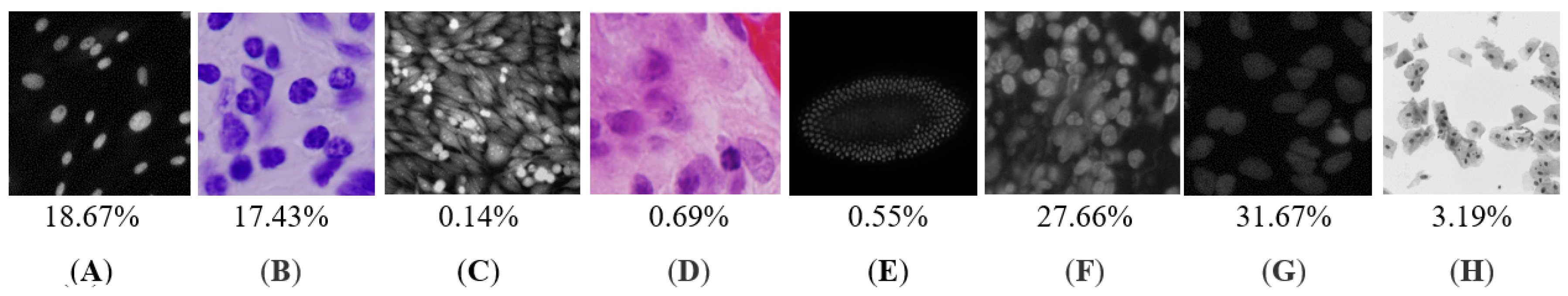 Applsci 10 00615 g001