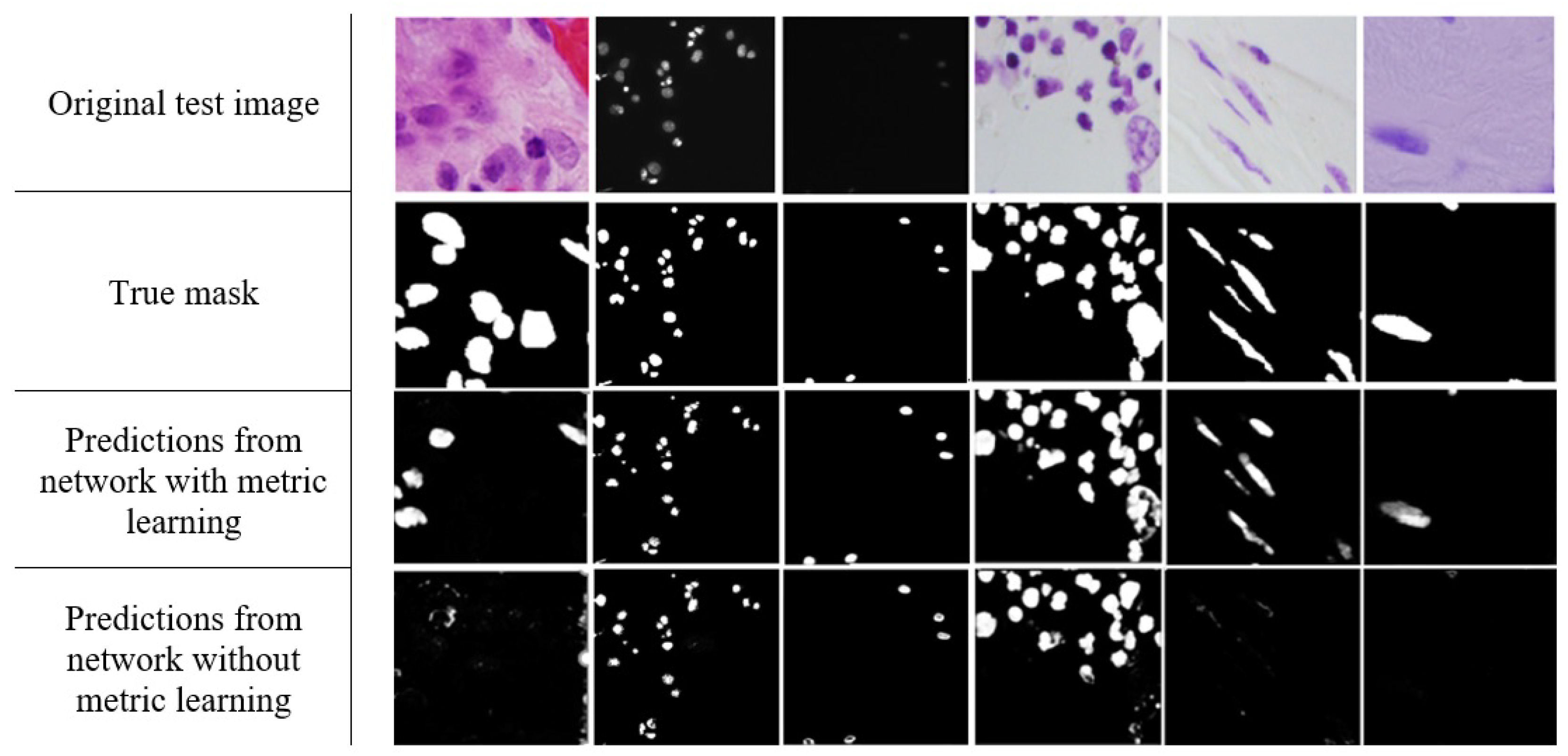 Applsci 10 00615 g005