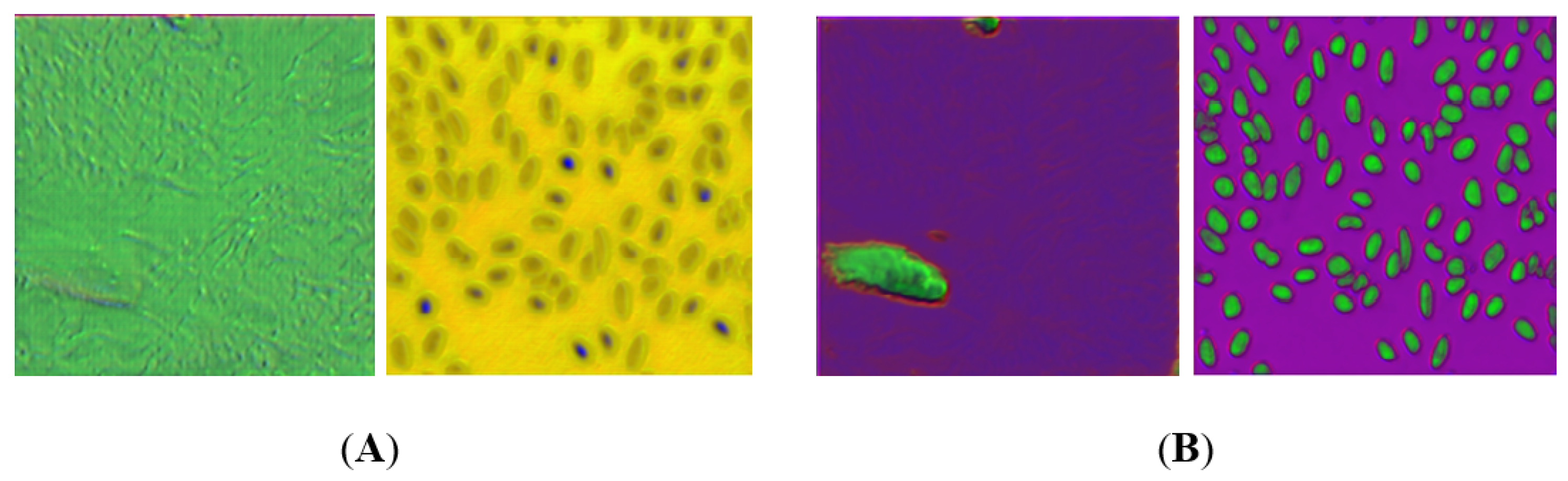 Applsci 10 00615 g006