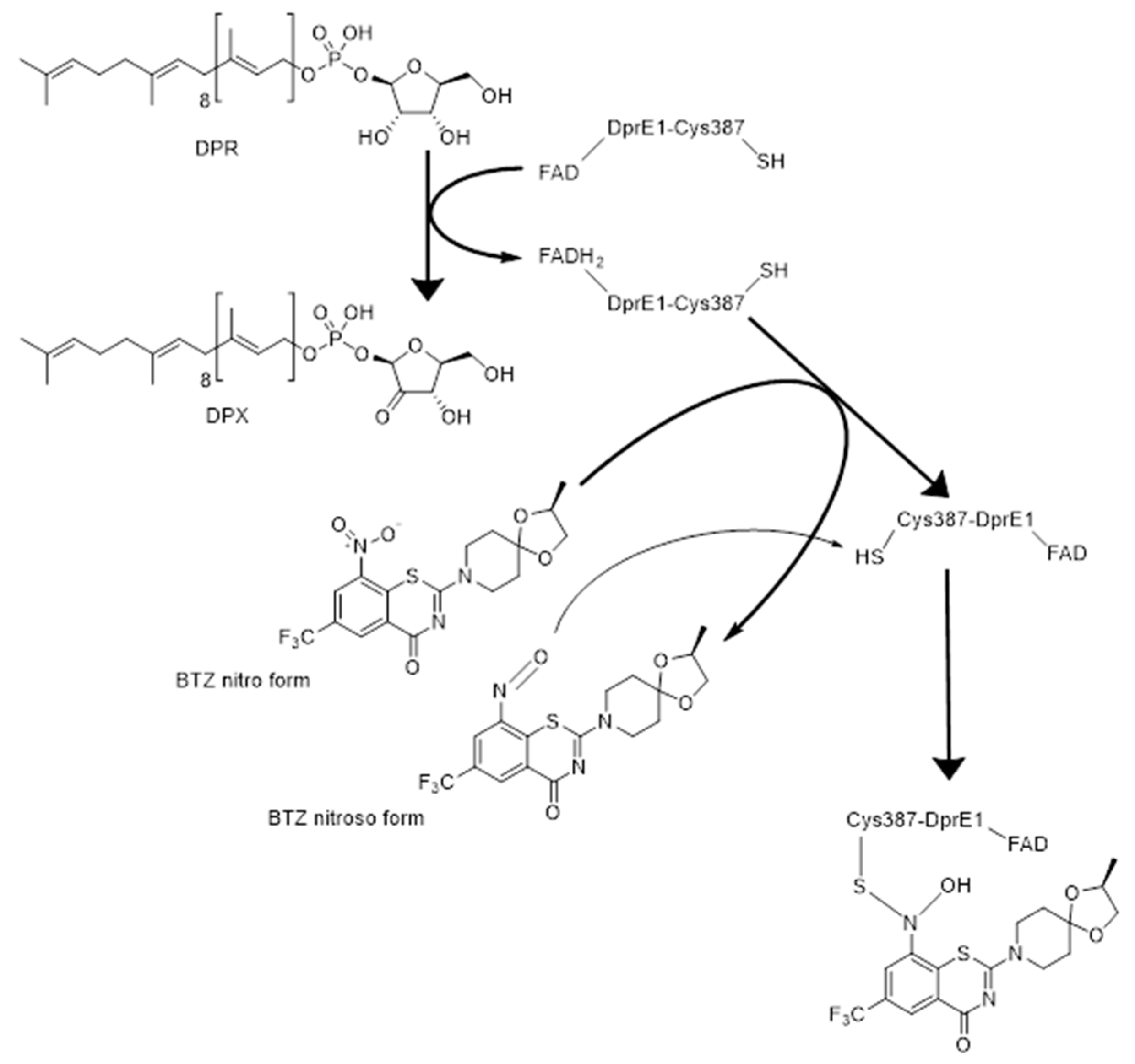 Applsci 10 00623 g001