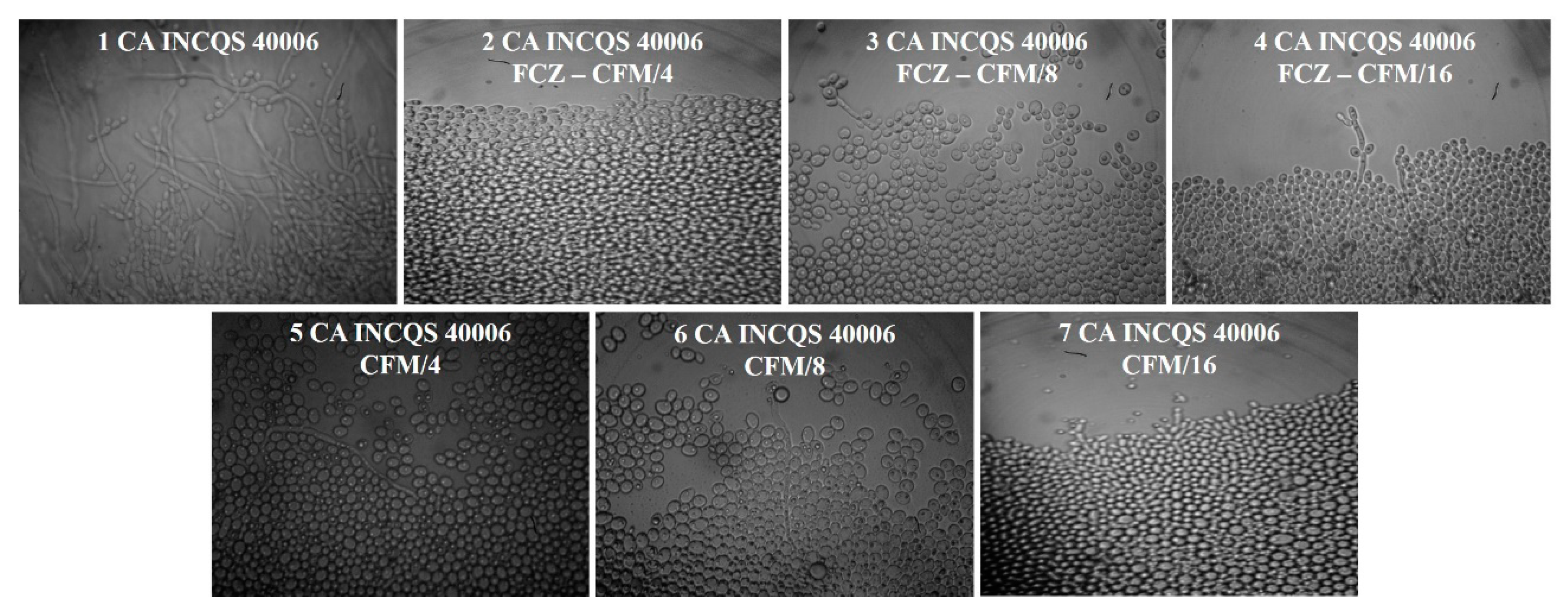 Applsci 10 00631 g003