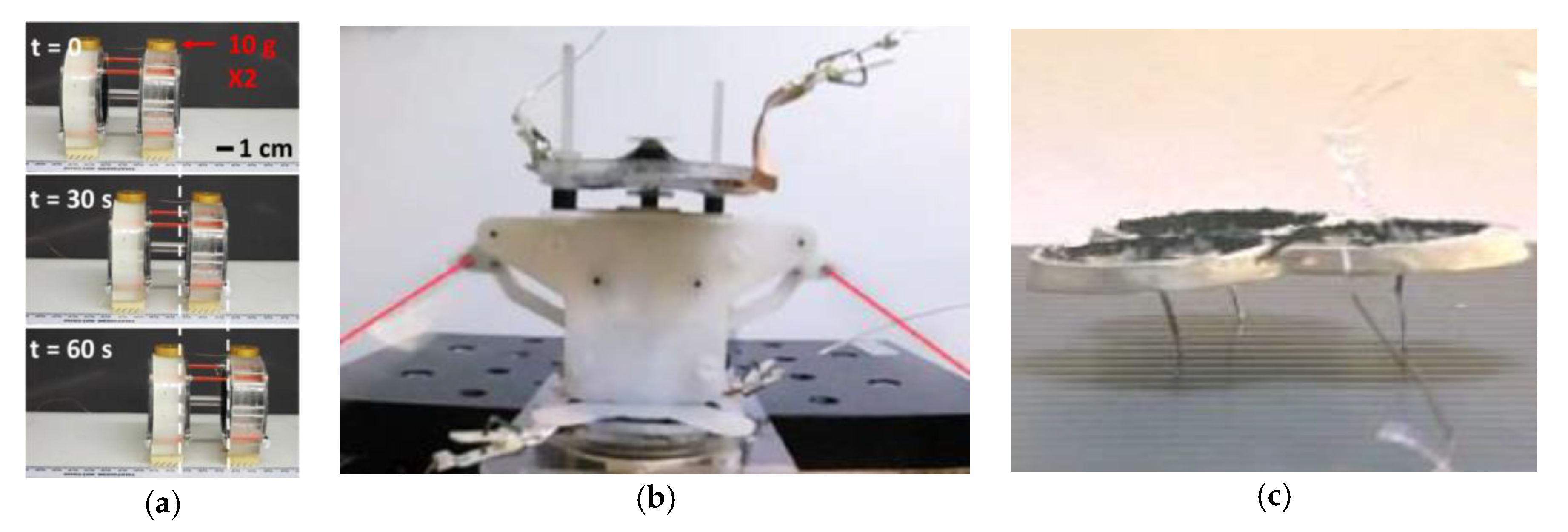 Applsci 10 00640 g010 Applsci 10 00640 g010