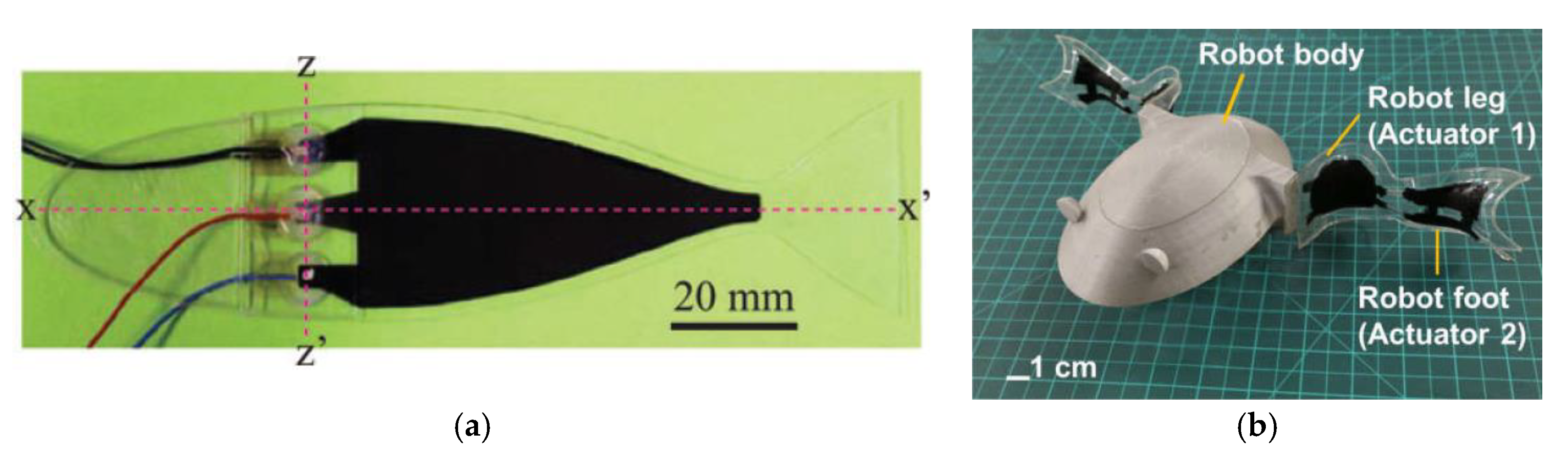Applsci 10 00640 g011 Applsci 10 00640 g011