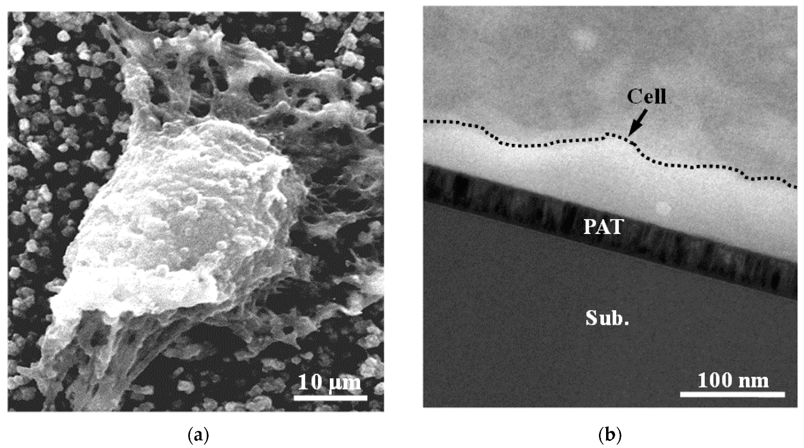 Applsci 10 00645 g002