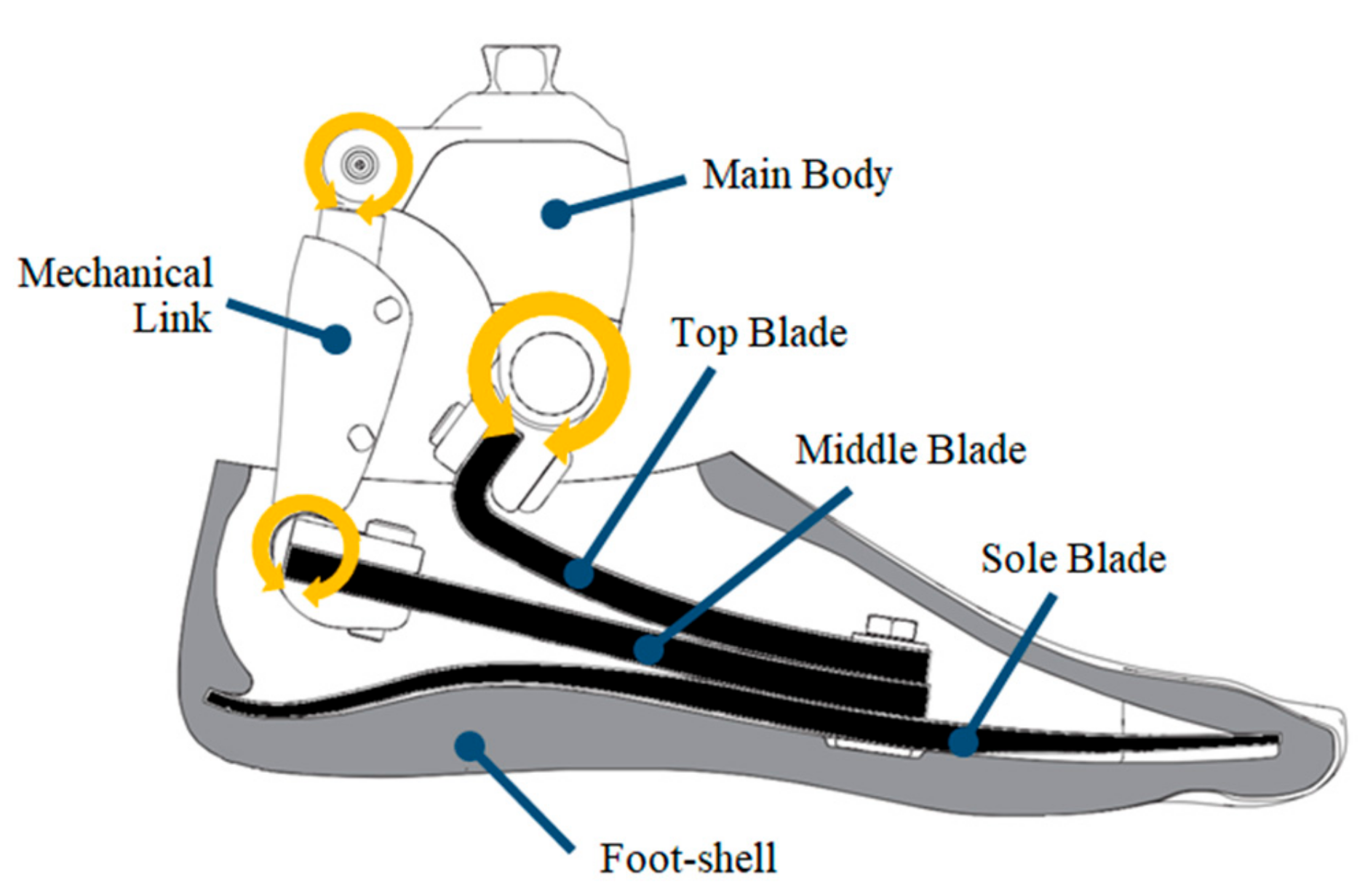 Applsci 10 00650 g001