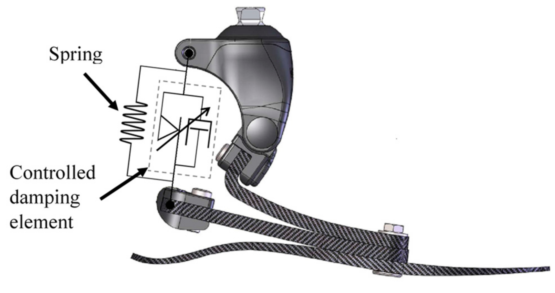 Applsci 10 00650 g007