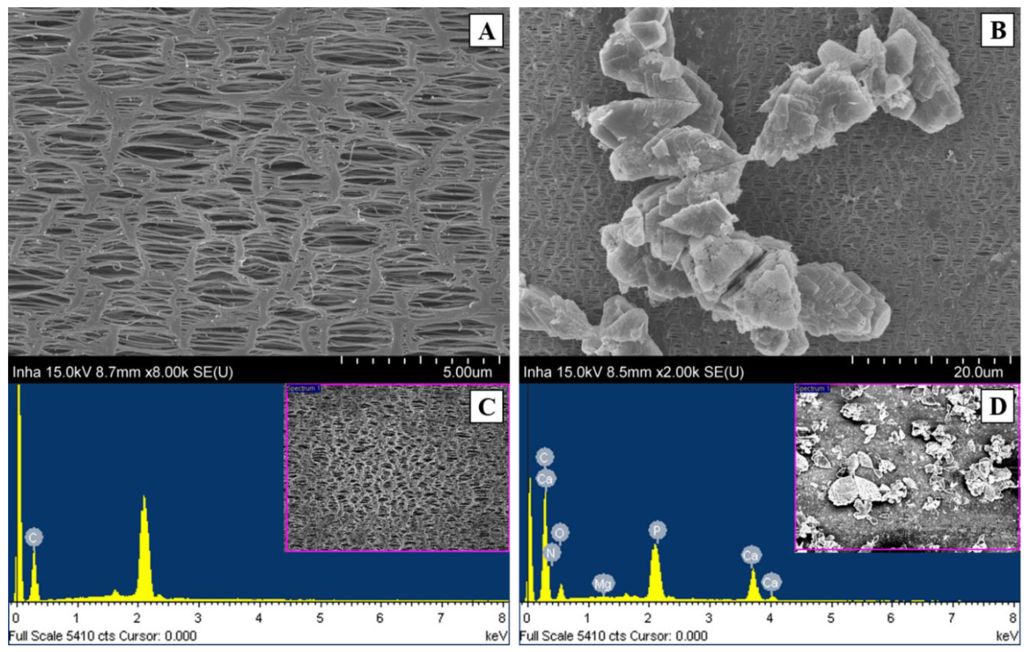 Applsci 10 00677 g006