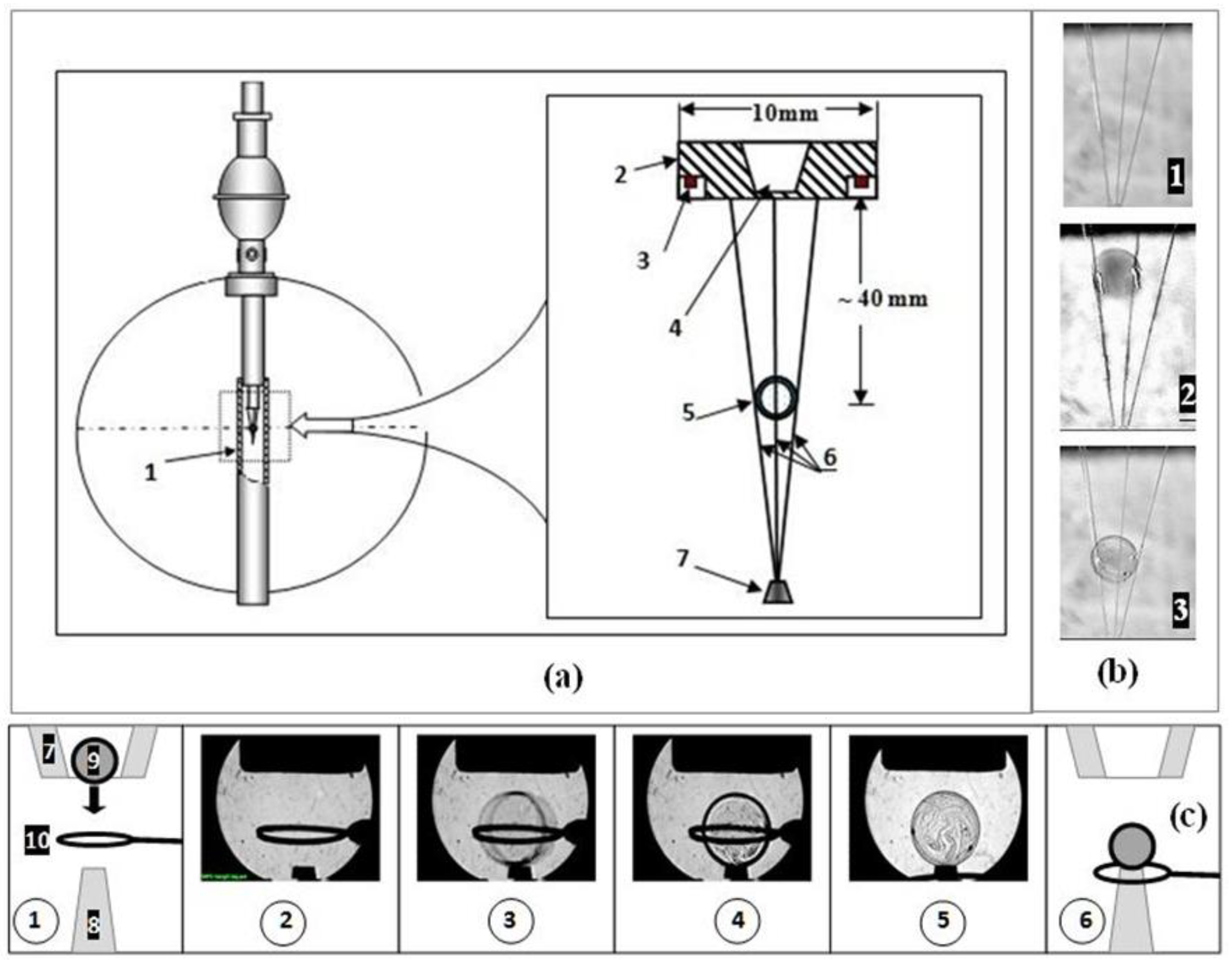 Applsci 10 00686 g010