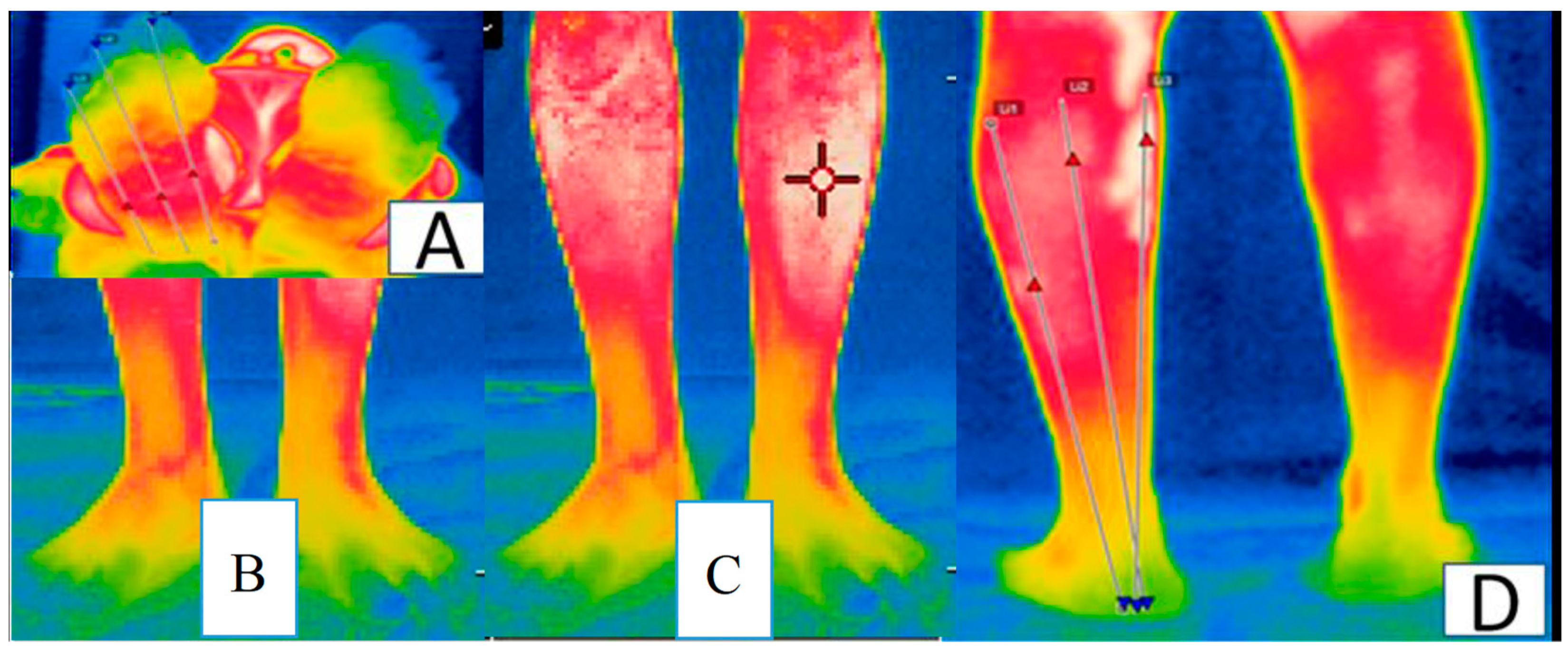 Applsci 10 00690 g001