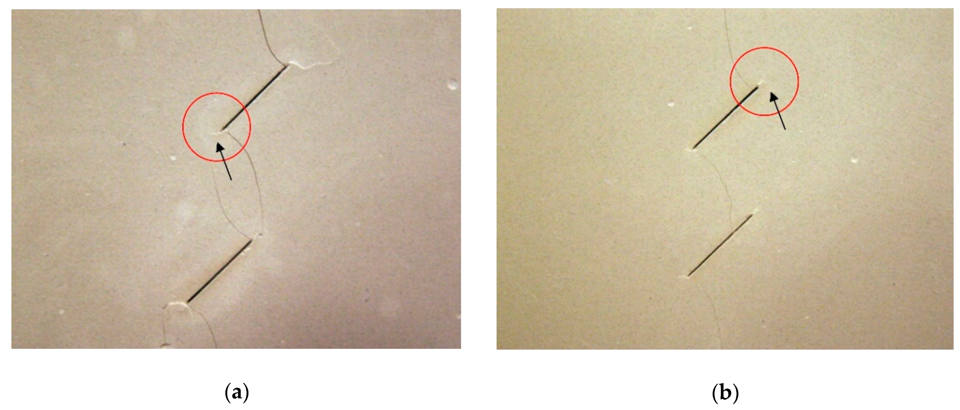 Applsci 10 00719 g019