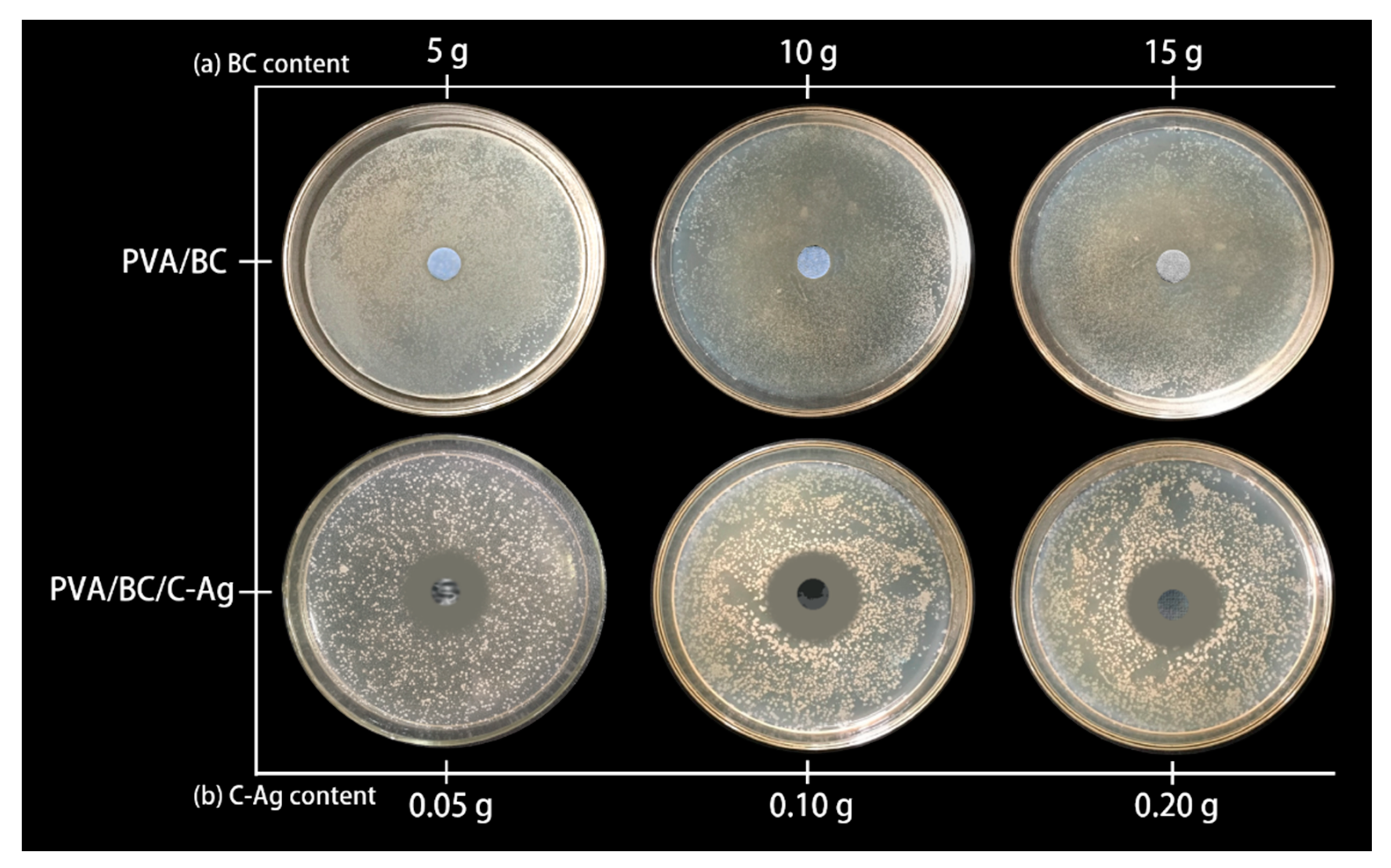 Applsci 10 00752 g005