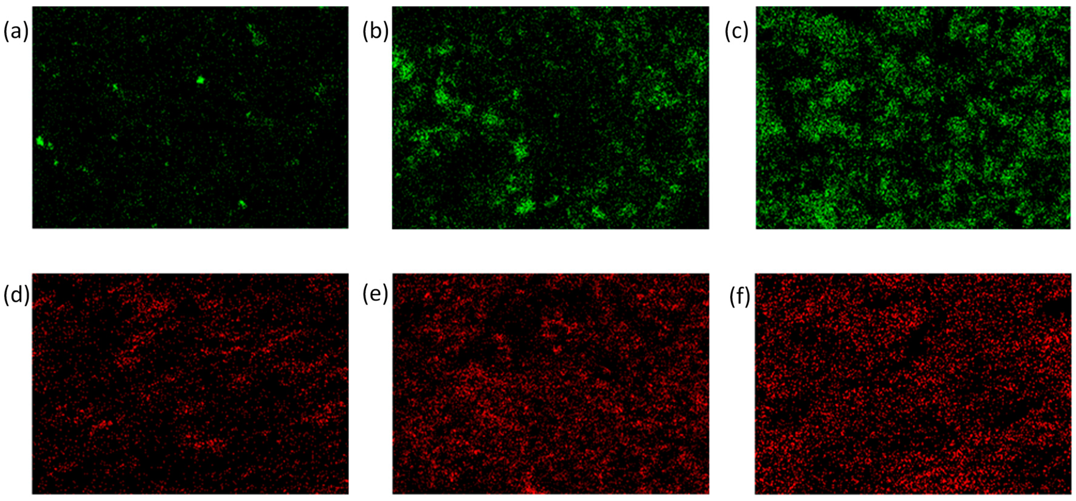 Applsci 10 00754 g008 Applsci 10 00754 g008