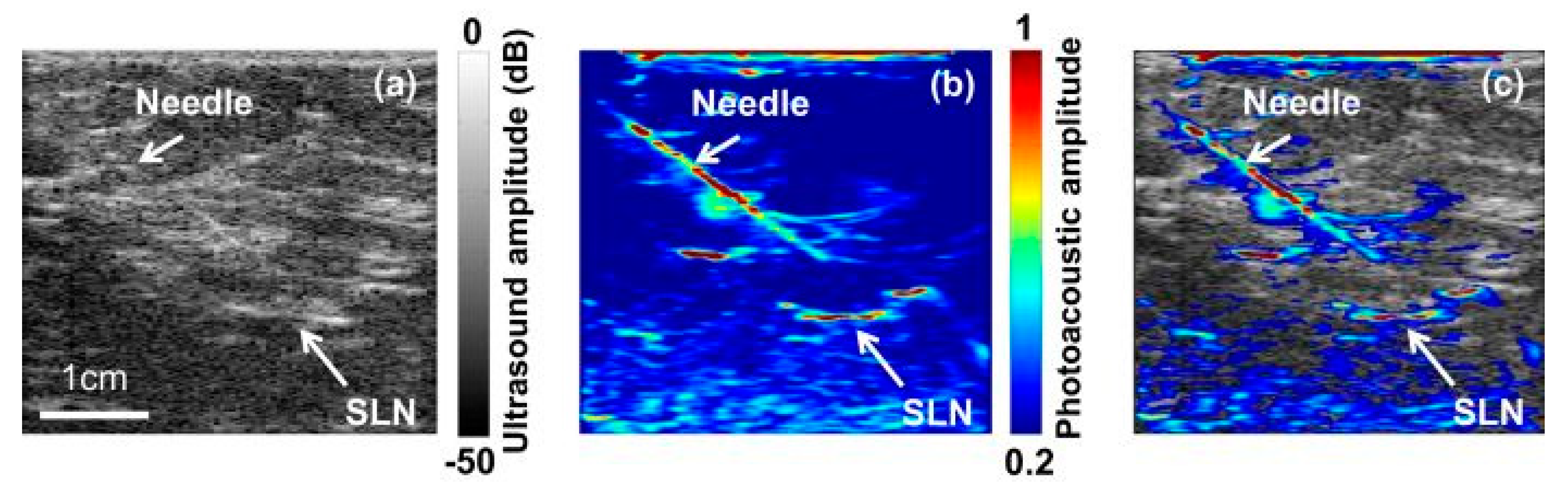 Applsci 10 00767 g003 Applsci 10 00767 g003